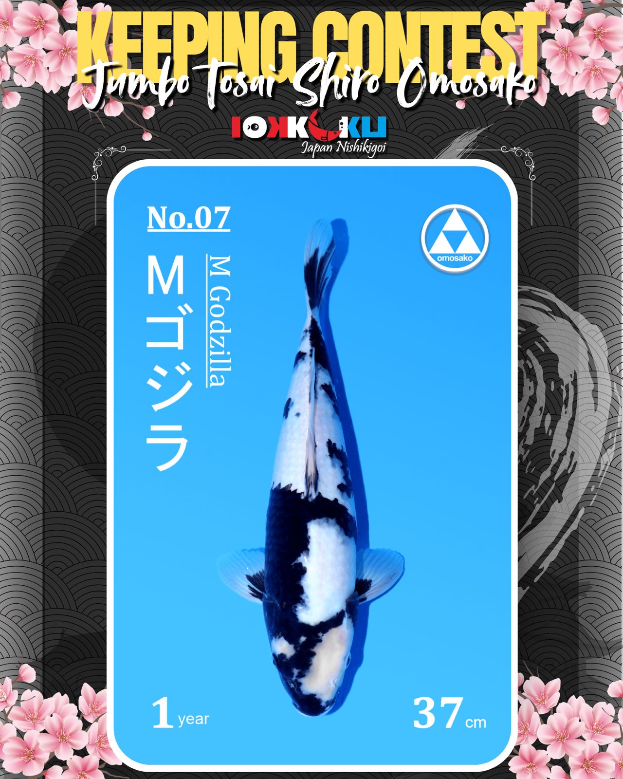 Lelang Koi Online, Jual Beli Ikan Koi, Pusat Jual Beli Koi, Info Lelang Koi Hari Ini, Platform Jual Beli Koi, Jual Beli Ikan Koi Online, Marketplace Ikan Koi, Jual Koi Terbaik, Tempat Beli Koi Berkualitas, Pasar Ikan Koi Online Terpercaya, Penjual Ikan Koi Terpercaya, Beli Koi Hias Online, Ikan Koi untuk Dijual, Koi Kualitas Terbaik, Toko Online Ikan Koi, Koi Hias Untuk Dijual, Jual Beli Ikan Koi Lokal, Koi Indonesia Online, Pusat Jual Beli Koi Terbesar