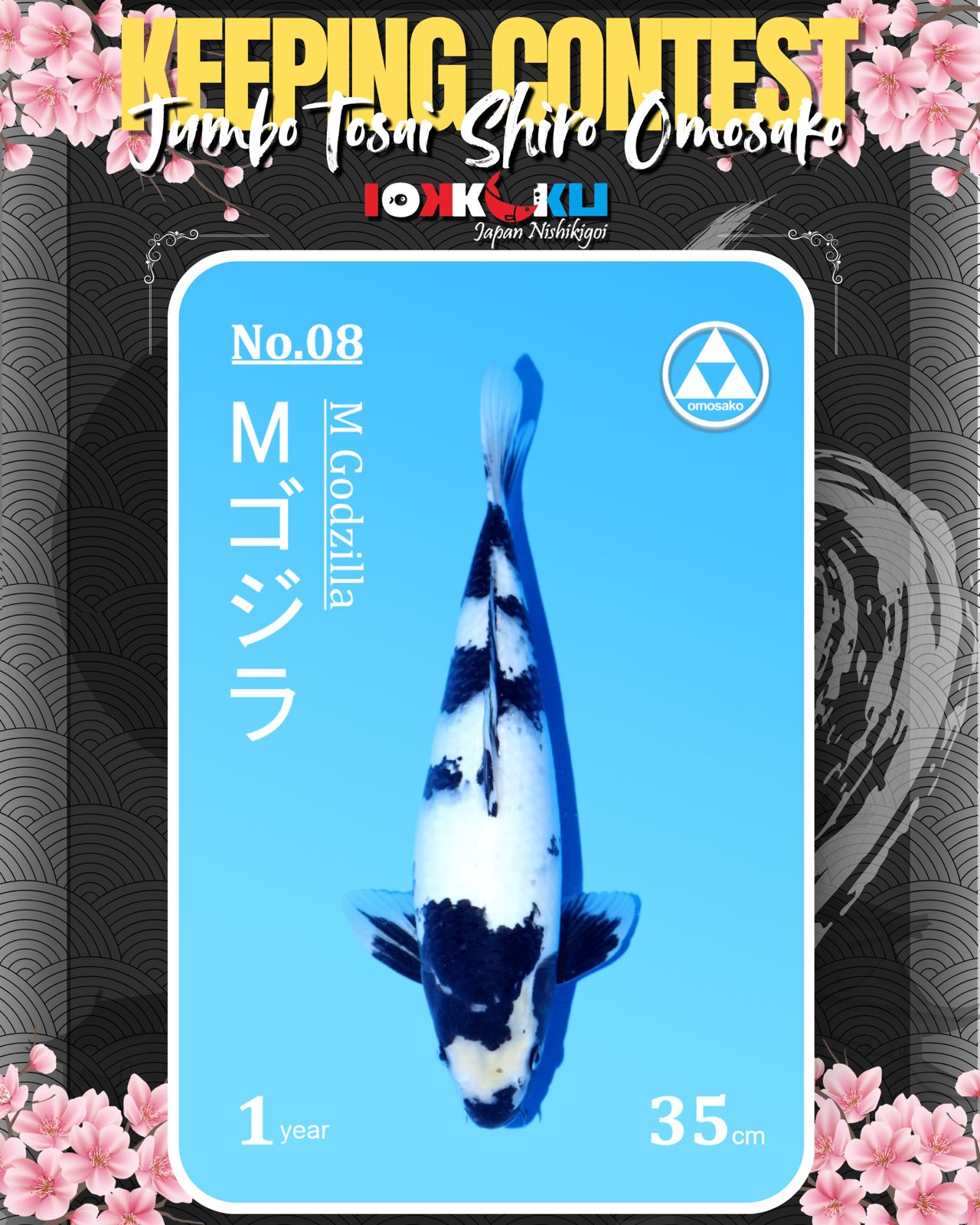 Lelang Koi Online, Jual Beli Ikan Koi, Pusat Jual Beli Koi, Info Lelang Koi Hari Ini, Platform Jual Beli Koi, Jual Beli Ikan Koi Online, Marketplace Ikan Koi, Jual Koi Terbaik, Tempat Beli Koi Berkualitas, Pasar Ikan Koi Online Terpercaya, Penjual Ikan Koi Terpercaya, Beli Koi Hias Online, Ikan Koi untuk Dijual, Koi Kualitas Terbaik, Toko Online Ikan Koi, Koi Hias Untuk Dijual, Jual Beli Ikan Koi Lokal, Koi Indonesia Online, Pusat Jual Beli Koi Terbesar