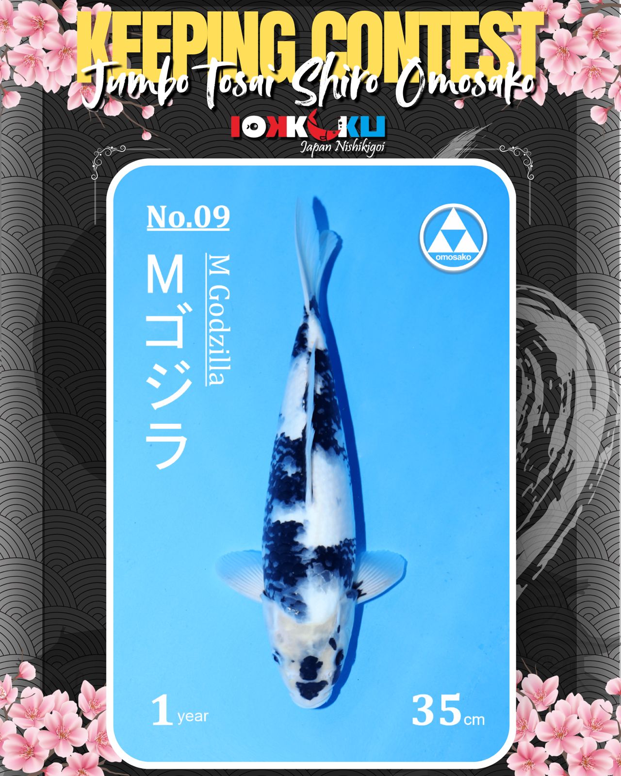 Lelang Koi Online, Jual Beli Ikan Koi, Pusat Jual Beli Koi, Info Lelang Koi Hari Ini, Platform Jual Beli Koi, Jual Beli Ikan Koi Online, Marketplace Ikan Koi, Jual Koi Terbaik, Tempat Beli Koi Berkualitas, Pasar Ikan Koi Online Terpercaya, Penjual Ikan Koi Terpercaya, Beli Koi Hias Online, Ikan Koi untuk Dijual, Koi Kualitas Terbaik, Toko Online Ikan Koi, Koi Hias Untuk Dijual, Jual Beli Ikan Koi Lokal, Koi Indonesia Online, Pusat Jual Beli Koi Terbesar