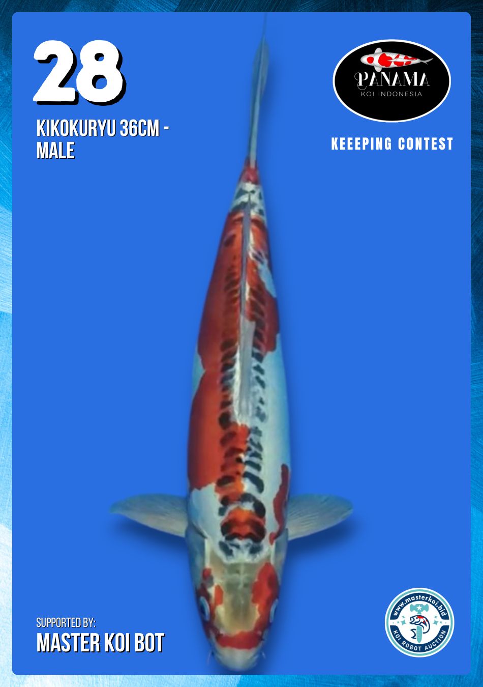 Lelang Koi Online, Jual Beli Ikan Koi, Pusat Jual Beli Koi, Info Lelang Koi Hari Ini, Platform Jual Beli Koi, Jual Beli Ikan Koi Online, Marketplace Ikan Koi, Jual Koi Terbaik, Tempat Beli Koi Berkualitas, Pasar Ikan Koi Online Terpercaya, Penjual Ikan Koi Terpercaya, Beli Koi Hias Online, Ikan Koi untuk Dijual, Koi Kualitas Terbaik, Toko Online Ikan Koi, Koi Hias Untuk Dijual, Jual Beli Ikan Koi Lokal, Koi Indonesia Online, Pusat Jual Beli Koi Terbesar