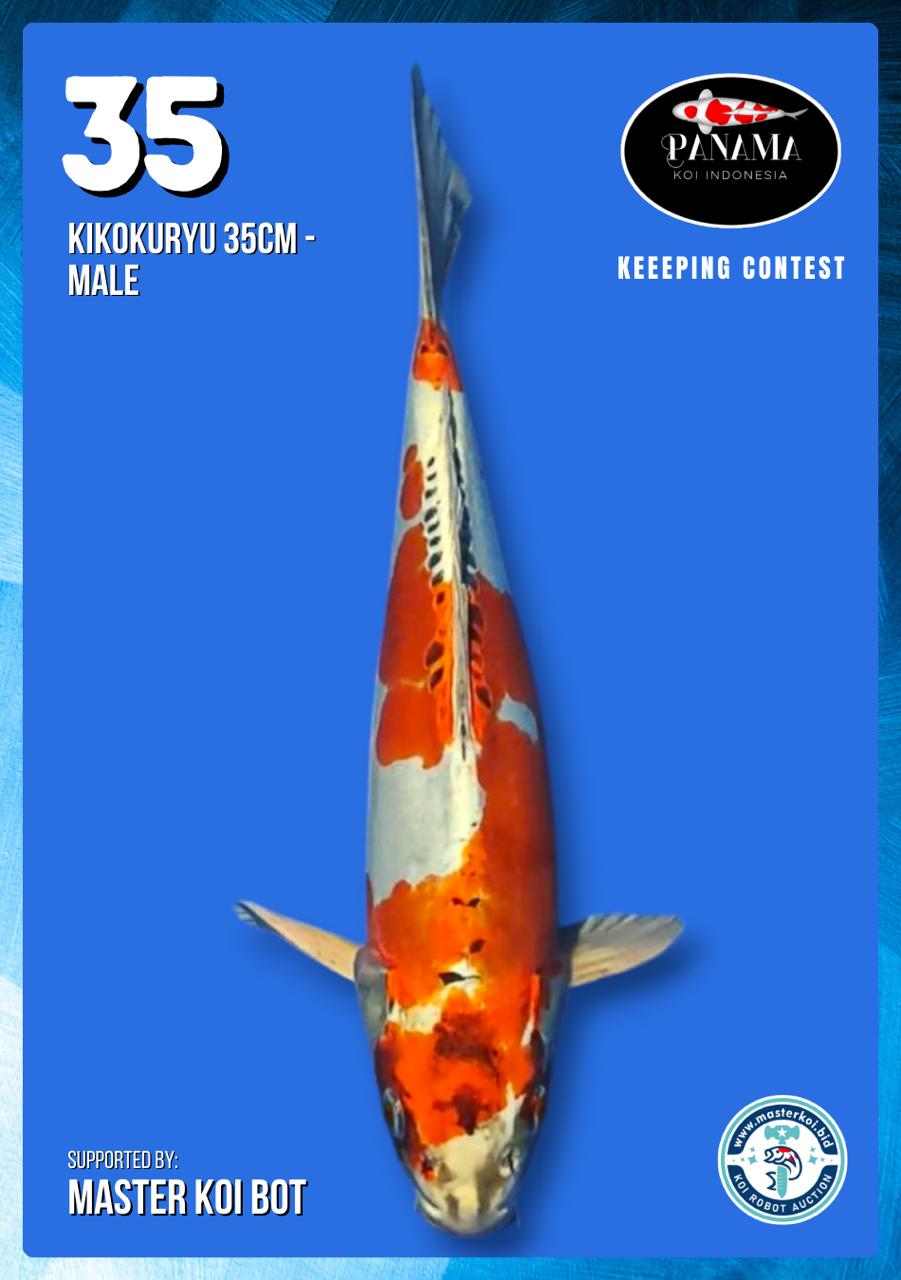 Lelang Koi Online, Jual Beli Ikan Koi, Pusat Jual Beli Koi, Info Lelang Koi Hari Ini, Platform Jual Beli Koi, Jual Beli Ikan Koi Online, Marketplace Ikan Koi, Jual Koi Terbaik, Tempat Beli Koi Berkualitas, Pasar Ikan Koi Online Terpercaya, Penjual Ikan Koi Terpercaya, Beli Koi Hias Online, Ikan Koi untuk Dijual, Koi Kualitas Terbaik, Toko Online Ikan Koi, Koi Hias Untuk Dijual, Jual Beli Ikan Koi Lokal, Koi Indonesia Online, Pusat Jual Beli Koi Terbesar
