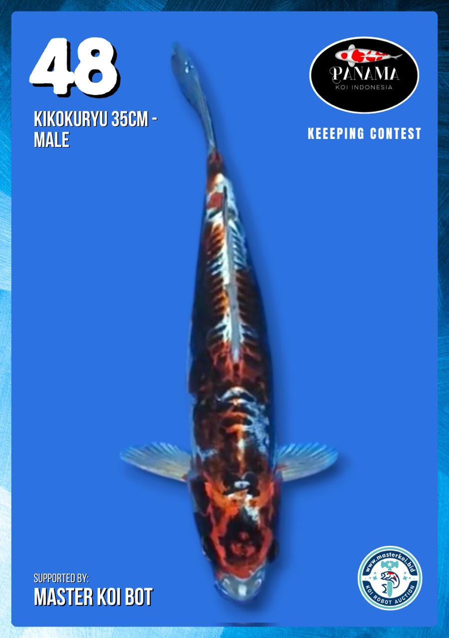 Lelang Koi Online, Jual Beli Ikan Koi, Pusat Jual Beli Koi, Info Lelang Koi Hari Ini, Platform Jual Beli Koi, Jual Beli Ikan Koi Online, Marketplace Ikan Koi, Jual Koi Terbaik, Tempat Beli Koi Berkualitas, Pasar Ikan Koi Online Terpercaya, Penjual Ikan Koi Terpercaya, Beli Koi Hias Online, Ikan Koi untuk Dijual, Koi Kualitas Terbaik, Toko Online Ikan Koi, Koi Hias Untuk Dijual, Jual Beli Ikan Koi Lokal, Koi Indonesia Online, Pusat Jual Beli Koi Terbesar