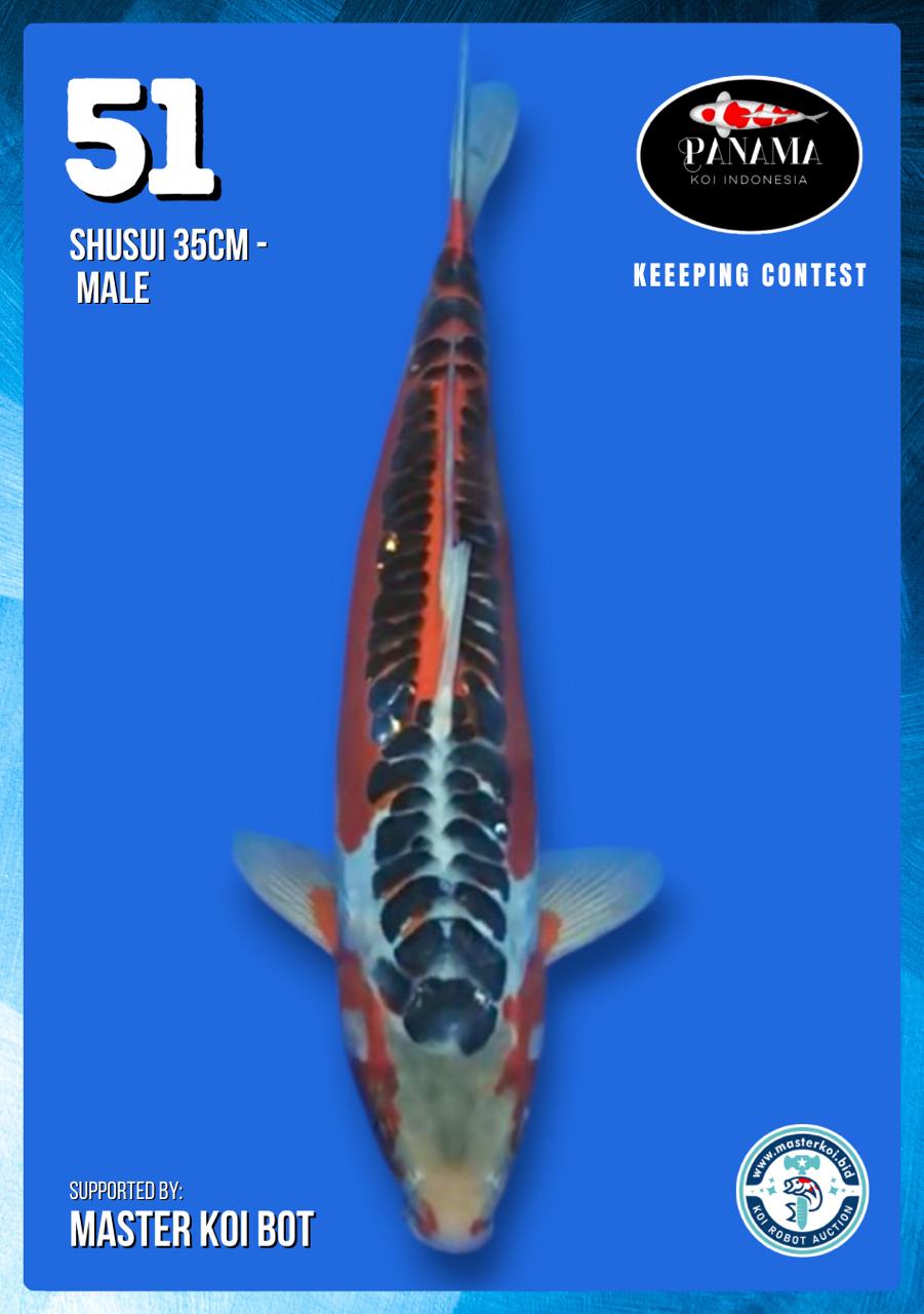 Lelang Koi Online, Jual Beli Ikan Koi, Pusat Jual Beli Koi, Info Lelang Koi Hari Ini, Platform Jual Beli Koi, Jual Beli Ikan Koi Online, Marketplace Ikan Koi, Jual Koi Terbaik, Tempat Beli Koi Berkualitas, Pasar Ikan Koi Online Terpercaya, Penjual Ikan Koi Terpercaya, Beli Koi Hias Online, Ikan Koi untuk Dijual, Koi Kualitas Terbaik, Toko Online Ikan Koi, Koi Hias Untuk Dijual, Jual Beli Ikan Koi Lokal, Koi Indonesia Online, Pusat Jual Beli Koi Terbesar