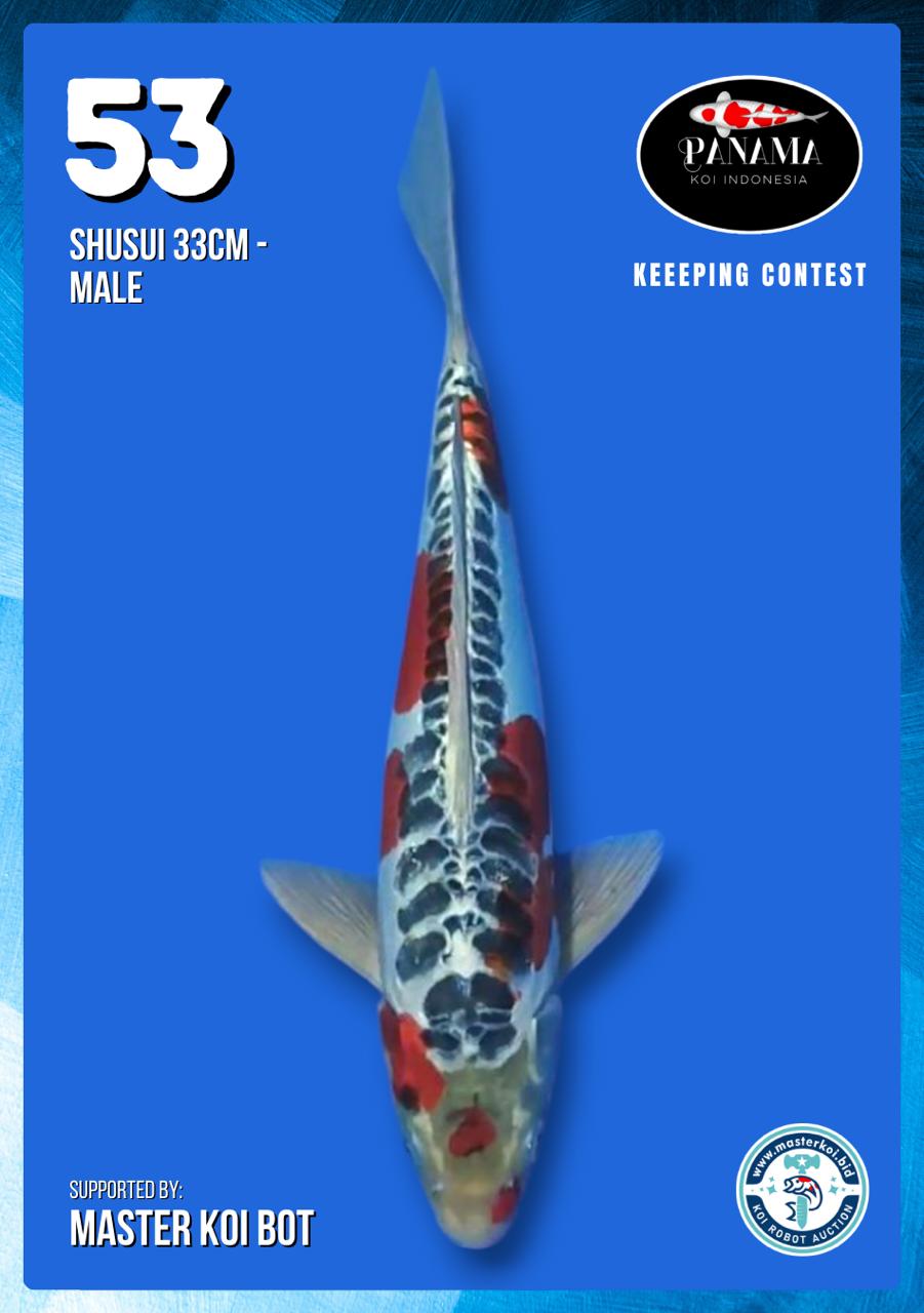 Lelang Koi Online, Jual Beli Ikan Koi, Pusat Jual Beli Koi, Info Lelang Koi Hari Ini, Platform Jual Beli Koi, Jual Beli Ikan Koi Online, Marketplace Ikan Koi, Jual Koi Terbaik, Tempat Beli Koi Berkualitas, Pasar Ikan Koi Online Terpercaya, Penjual Ikan Koi Terpercaya, Beli Koi Hias Online, Ikan Koi untuk Dijual, Koi Kualitas Terbaik, Toko Online Ikan Koi, Koi Hias Untuk Dijual, Jual Beli Ikan Koi Lokal, Koi Indonesia Online, Pusat Jual Beli Koi Terbesar