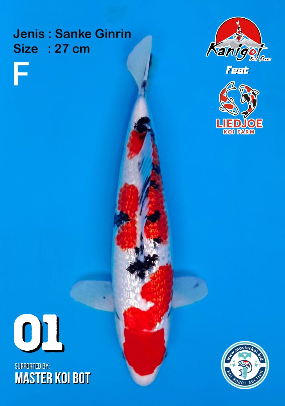 Lelang Koi Online, Jual Beli Ikan Koi, Pusat Jual Beli Koi, Info Lelang Koi Hari Ini, Platform Jual Beli Koi, Jual Beli Ikan Koi Online, Marketplace Ikan Koi, Jual Koi Terbaik, Tempat Beli Koi Berkualitas, Pasar Ikan Koi Online Terpercaya, Penjual Ikan Koi Terpercaya, Beli Koi Hias Online, Ikan Koi untuk Dijual, Koi Kualitas Terbaik, Toko Online Ikan Koi, Koi Hias Untuk Dijual, Jual Beli Ikan Koi Lokal, Koi Indonesia Online, Pusat Jual Beli Koi Terbesar