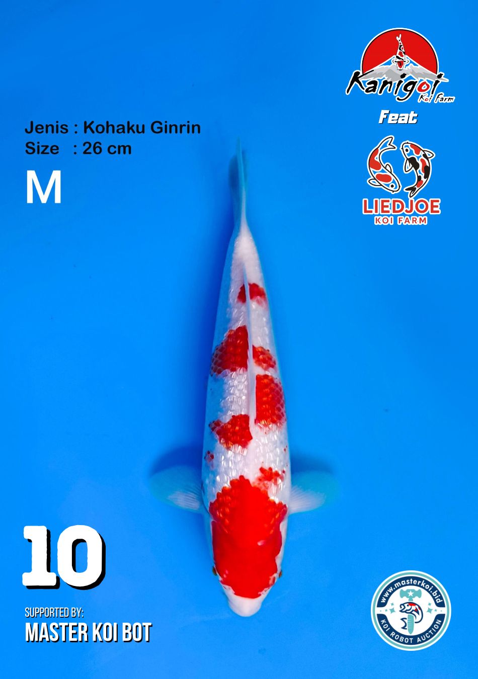 Lelang Koi Online, Jual Beli Ikan Koi, Pusat Jual Beli Koi, Info Lelang Koi Hari Ini, Platform Jual Beli Koi, Jual Beli Ikan Koi Online, Marketplace Ikan Koi, Jual Koi Terbaik, Tempat Beli Koi Berkualitas, Pasar Ikan Koi Online Terpercaya, Penjual Ikan Koi Terpercaya, Beli Koi Hias Online, Ikan Koi untuk Dijual, Koi Kualitas Terbaik, Toko Online Ikan Koi, Koi Hias Untuk Dijual, Jual Beli Ikan Koi Lokal, Koi Indonesia Online, Pusat Jual Beli Koi Terbesar