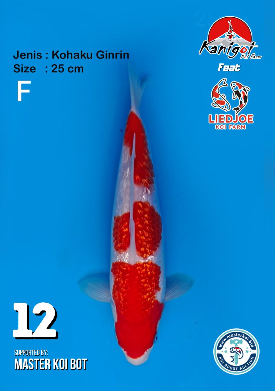 Lelang Koi Online, Jual Beli Ikan Koi, Pusat Jual Beli Koi, Info Lelang Koi Hari Ini, Platform Jual Beli Koi, Jual Beli Ikan Koi Online, Marketplace Ikan Koi, Jual Koi Terbaik, Tempat Beli Koi Berkualitas, Pasar Ikan Koi Online Terpercaya, Penjual Ikan Koi Terpercaya, Beli Koi Hias Online, Ikan Koi untuk Dijual, Koi Kualitas Terbaik, Toko Online Ikan Koi, Koi Hias Untuk Dijual, Jual Beli Ikan Koi Lokal, Koi Indonesia Online, Pusat Jual Beli Koi Terbesar