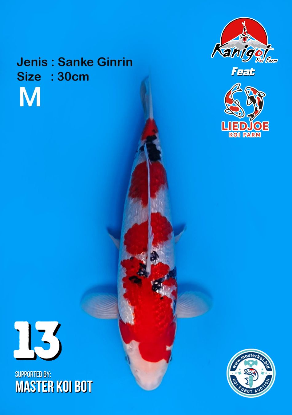 Lelang Koi Online, Jual Beli Ikan Koi, Pusat Jual Beli Koi, Info Lelang Koi Hari Ini, Platform Jual Beli Koi, Jual Beli Ikan Koi Online, Marketplace Ikan Koi, Jual Koi Terbaik, Tempat Beli Koi Berkualitas, Pasar Ikan Koi Online Terpercaya, Penjual Ikan Koi Terpercaya, Beli Koi Hias Online, Ikan Koi untuk Dijual, Koi Kualitas Terbaik, Toko Online Ikan Koi, Koi Hias Untuk Dijual, Jual Beli Ikan Koi Lokal, Koi Indonesia Online, Pusat Jual Beli Koi Terbesar