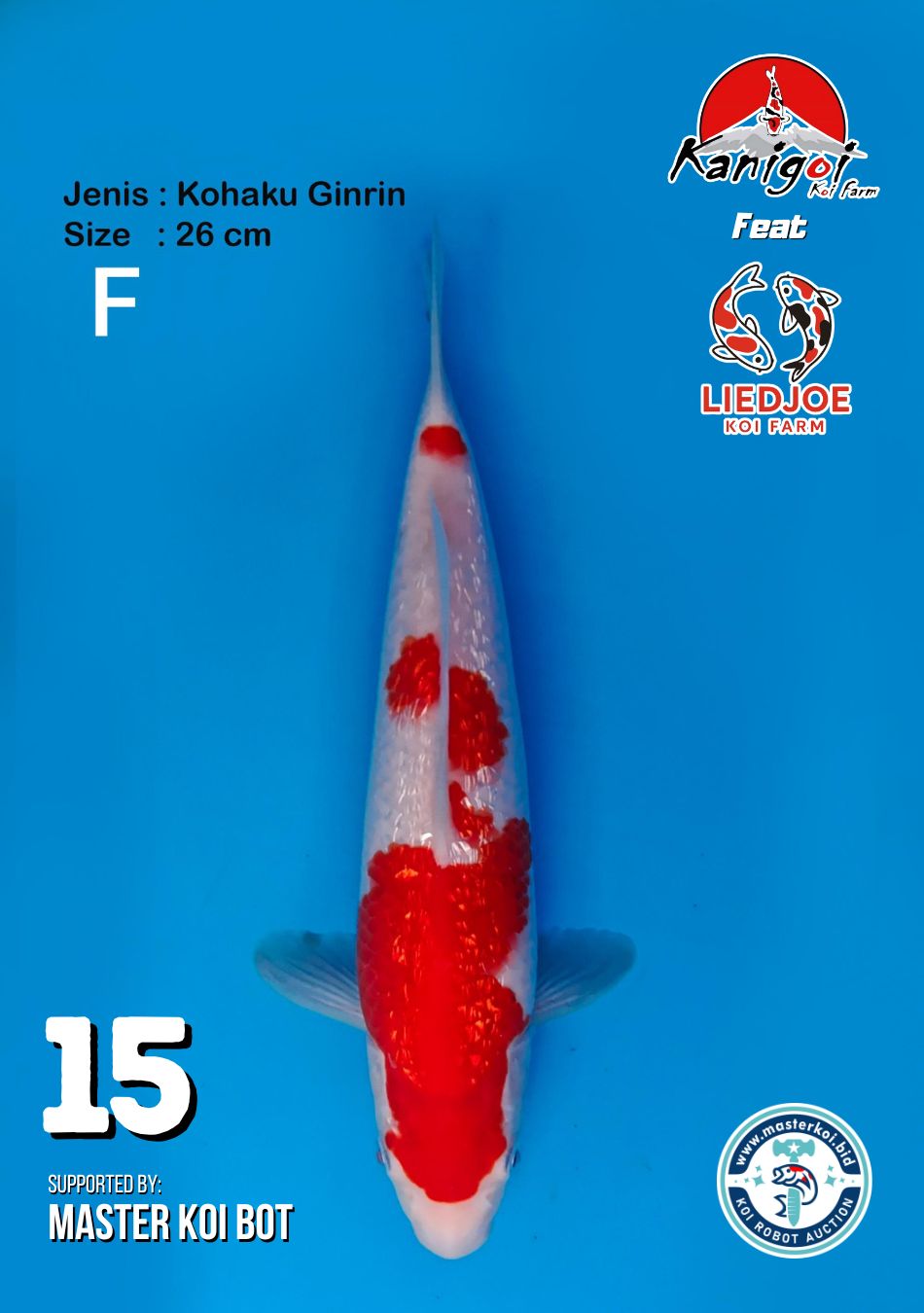 Lelang Koi Online, Jual Beli Ikan Koi, Pusat Jual Beli Koi, Info Lelang Koi Hari Ini, Platform Jual Beli Koi, Jual Beli Ikan Koi Online, Marketplace Ikan Koi, Jual Koi Terbaik, Tempat Beli Koi Berkualitas, Pasar Ikan Koi Online Terpercaya, Penjual Ikan Koi Terpercaya, Beli Koi Hias Online, Ikan Koi untuk Dijual, Koi Kualitas Terbaik, Toko Online Ikan Koi, Koi Hias Untuk Dijual, Jual Beli Ikan Koi Lokal, Koi Indonesia Online, Pusat Jual Beli Koi Terbesar