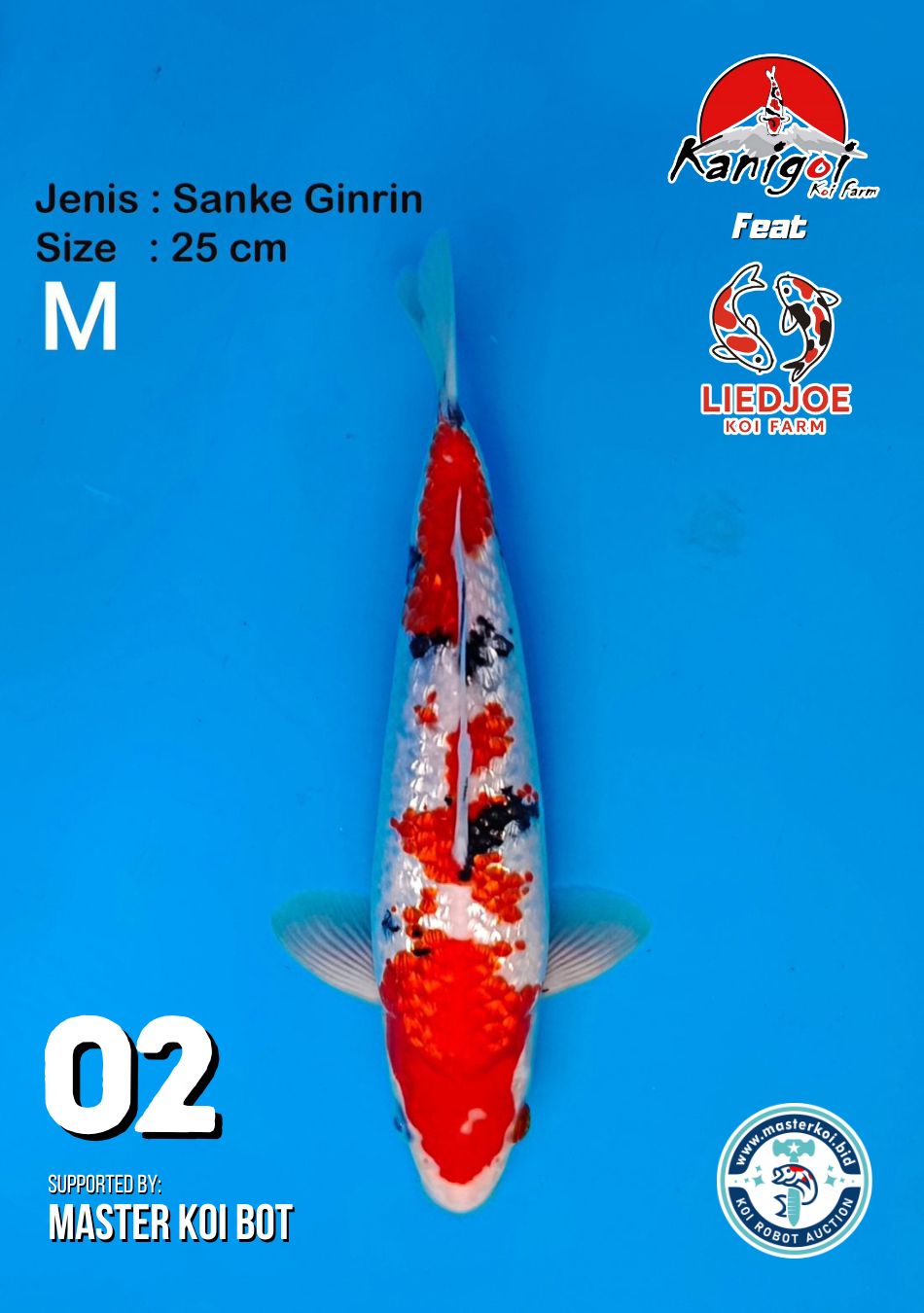 Lelang Koi Online, Jual Beli Ikan Koi, Pusat Jual Beli Koi, Info Lelang Koi Hari Ini, Platform Jual Beli Koi, Jual Beli Ikan Koi Online, Marketplace Ikan Koi, Jual Koi Terbaik, Tempat Beli Koi Berkualitas, Pasar Ikan Koi Online Terpercaya, Penjual Ikan Koi Terpercaya, Beli Koi Hias Online, Ikan Koi untuk Dijual, Koi Kualitas Terbaik, Toko Online Ikan Koi, Koi Hias Untuk Dijual, Jual Beli Ikan Koi Lokal, Koi Indonesia Online, Pusat Jual Beli Koi Terbesar