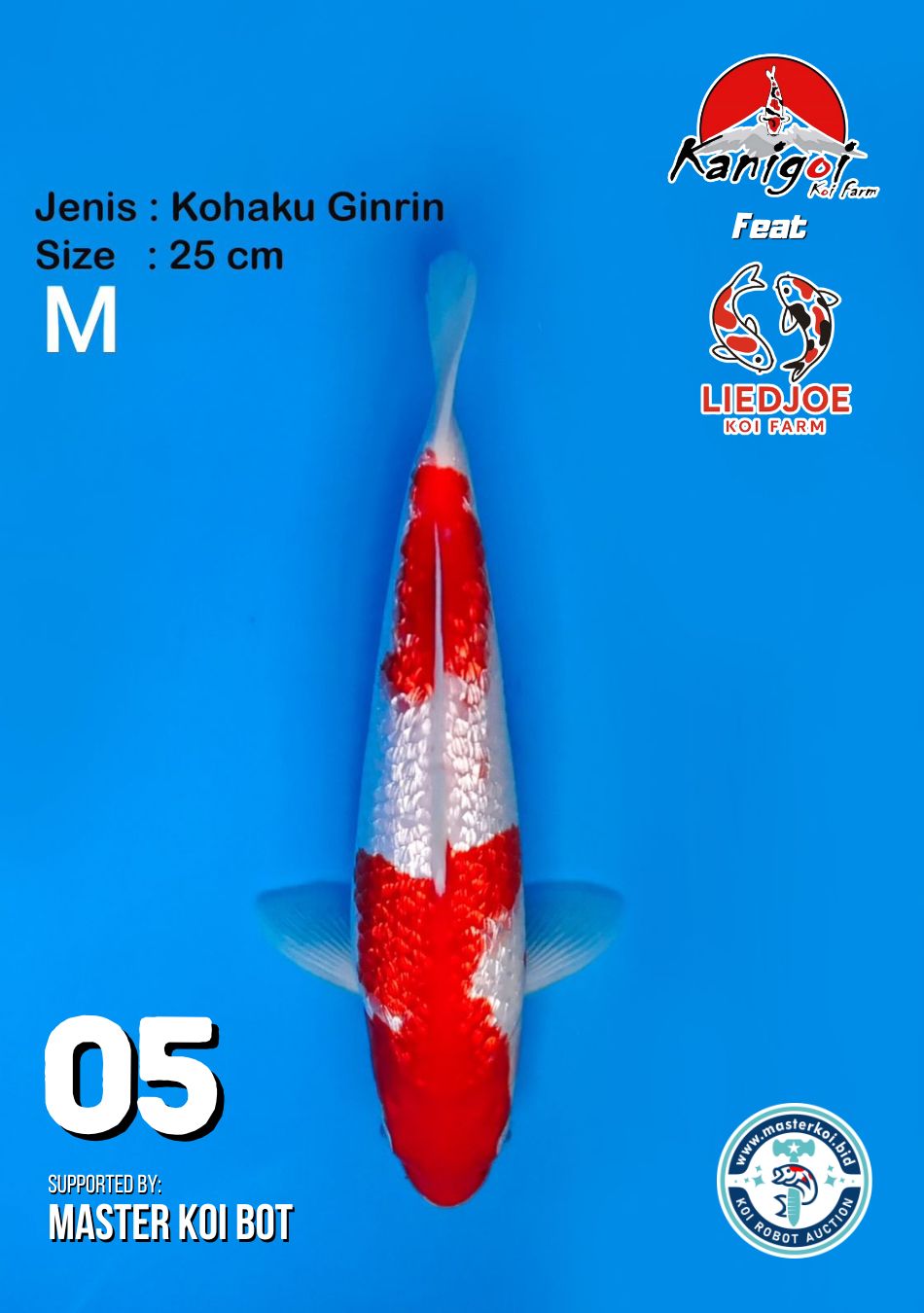 Lelang Koi Online, Jual Beli Ikan Koi, Pusat Jual Beli Koi, Info Lelang Koi Hari Ini, Platform Jual Beli Koi, Jual Beli Ikan Koi Online, Marketplace Ikan Koi, Jual Koi Terbaik, Tempat Beli Koi Berkualitas, Pasar Ikan Koi Online Terpercaya, Penjual Ikan Koi Terpercaya, Beli Koi Hias Online, Ikan Koi untuk Dijual, Koi Kualitas Terbaik, Toko Online Ikan Koi, Koi Hias Untuk Dijual, Jual Beli Ikan Koi Lokal, Koi Indonesia Online, Pusat Jual Beli Koi Terbesar