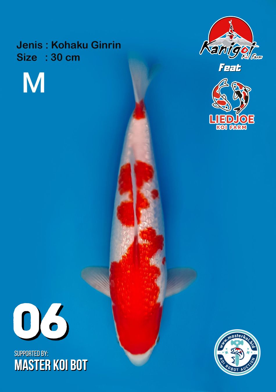 Lelang Koi Online, Jual Beli Ikan Koi, Pusat Jual Beli Koi, Info Lelang Koi Hari Ini, Platform Jual Beli Koi, Jual Beli Ikan Koi Online, Marketplace Ikan Koi, Jual Koi Terbaik, Tempat Beli Koi Berkualitas, Pasar Ikan Koi Online Terpercaya, Penjual Ikan Koi Terpercaya, Beli Koi Hias Online, Ikan Koi untuk Dijual, Koi Kualitas Terbaik, Toko Online Ikan Koi, Koi Hias Untuk Dijual, Jual Beli Ikan Koi Lokal, Koi Indonesia Online, Pusat Jual Beli Koi Terbesar