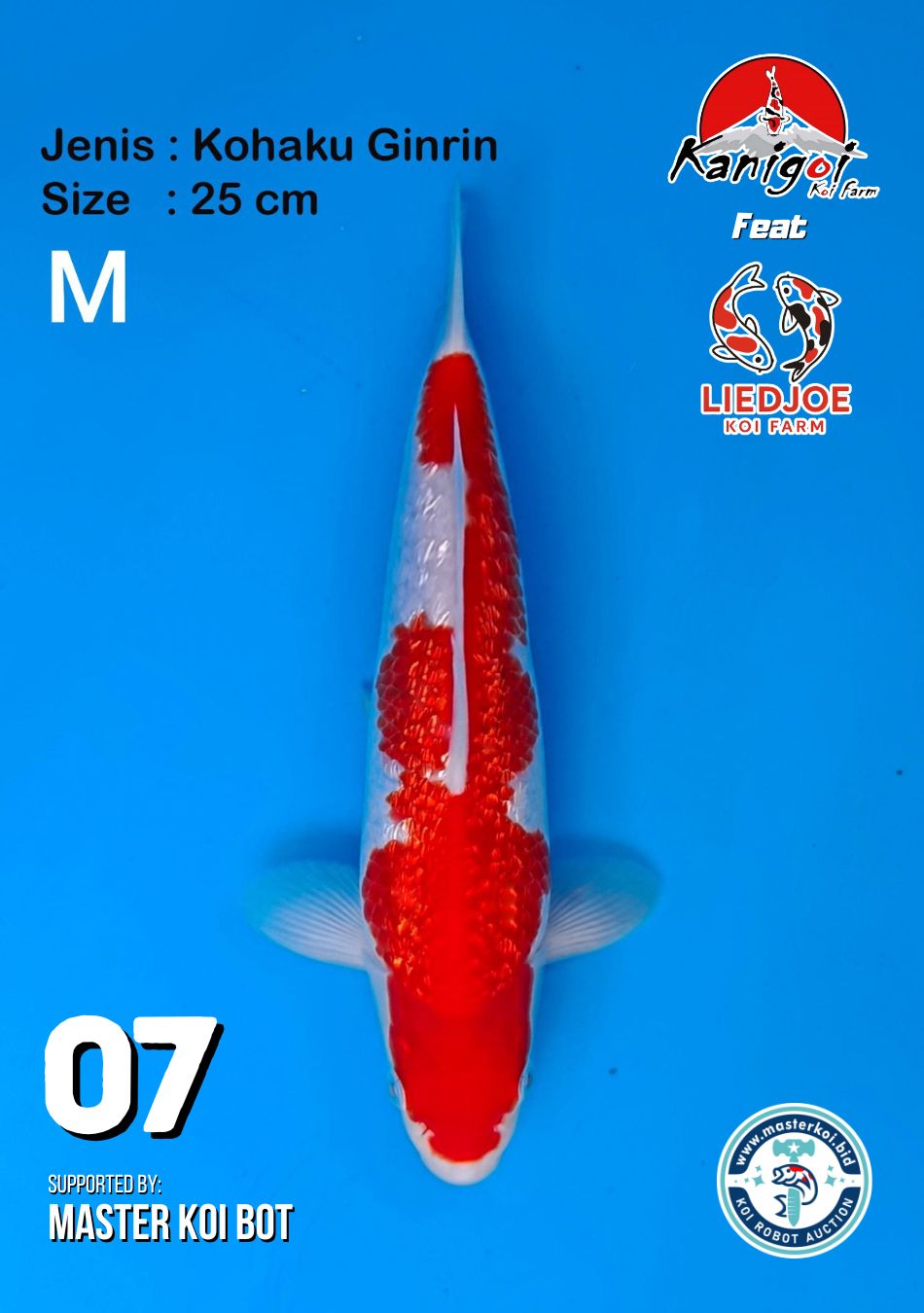 Lelang Koi Online, Jual Beli Ikan Koi, Pusat Jual Beli Koi, Info Lelang Koi Hari Ini, Platform Jual Beli Koi, Jual Beli Ikan Koi Online, Marketplace Ikan Koi, Jual Koi Terbaik, Tempat Beli Koi Berkualitas, Pasar Ikan Koi Online Terpercaya, Penjual Ikan Koi Terpercaya, Beli Koi Hias Online, Ikan Koi untuk Dijual, Koi Kualitas Terbaik, Toko Online Ikan Koi, Koi Hias Untuk Dijual, Jual Beli Ikan Koi Lokal, Koi Indonesia Online, Pusat Jual Beli Koi Terbesar