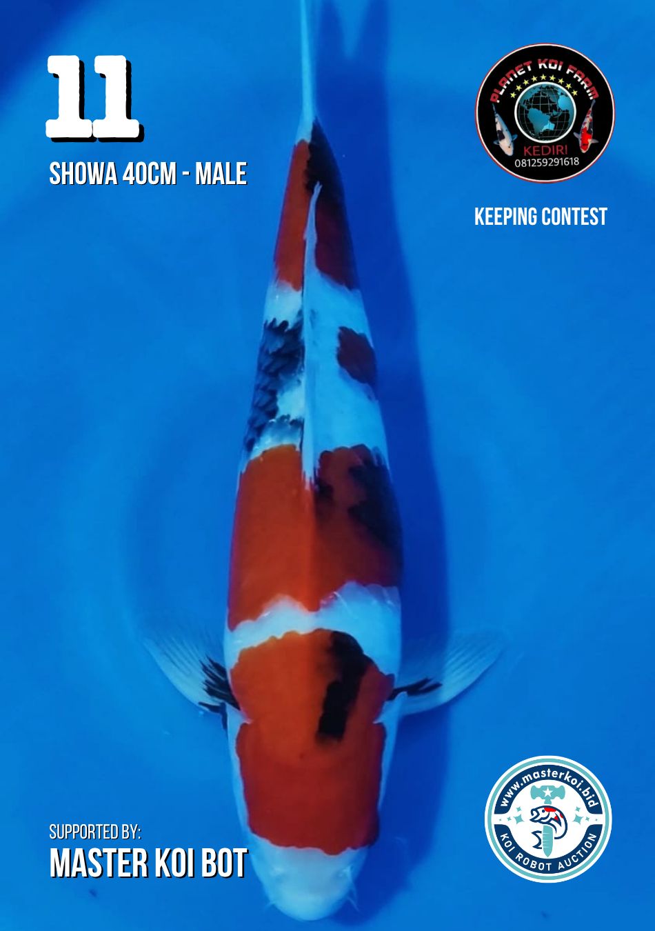 Lelang Koi Online, Jual Beli Ikan Koi, Pusat Jual Beli Koi, Info Lelang Koi Hari Ini, Platform Jual Beli Koi, Jual Beli Ikan Koi Online, Marketplace Ikan Koi, Jual Koi Terbaik, Tempat Beli Koi Berkualitas, Pasar Ikan Koi Online Terpercaya, Penjual Ikan Koi Terpercaya, Beli Koi Hias Online, Ikan Koi untuk Dijual, Koi Kualitas Terbaik, Toko Online Ikan Koi, Koi Hias Untuk Dijual, Jual Beli Ikan Koi Lokal, Koi Indonesia Online, Pusat Jual Beli Koi Terbesar