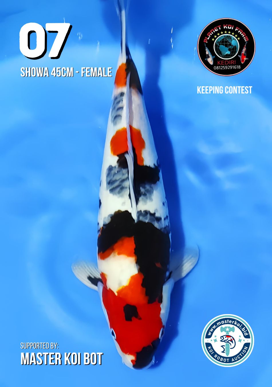 Lelang Koi Online, Jual Beli Ikan Koi, Pusat Jual Beli Koi, Info Lelang Koi Hari Ini, Platform Jual Beli Koi, Jual Beli Ikan Koi Online, Marketplace Ikan Koi, Jual Koi Terbaik, Tempat Beli Koi Berkualitas, Pasar Ikan Koi Online Terpercaya, Penjual Ikan Koi Terpercaya, Beli Koi Hias Online, Ikan Koi untuk Dijual, Koi Kualitas Terbaik, Toko Online Ikan Koi, Koi Hias Untuk Dijual, Jual Beli Ikan Koi Lokal, Koi Indonesia Online, Pusat Jual Beli Koi Terbesar