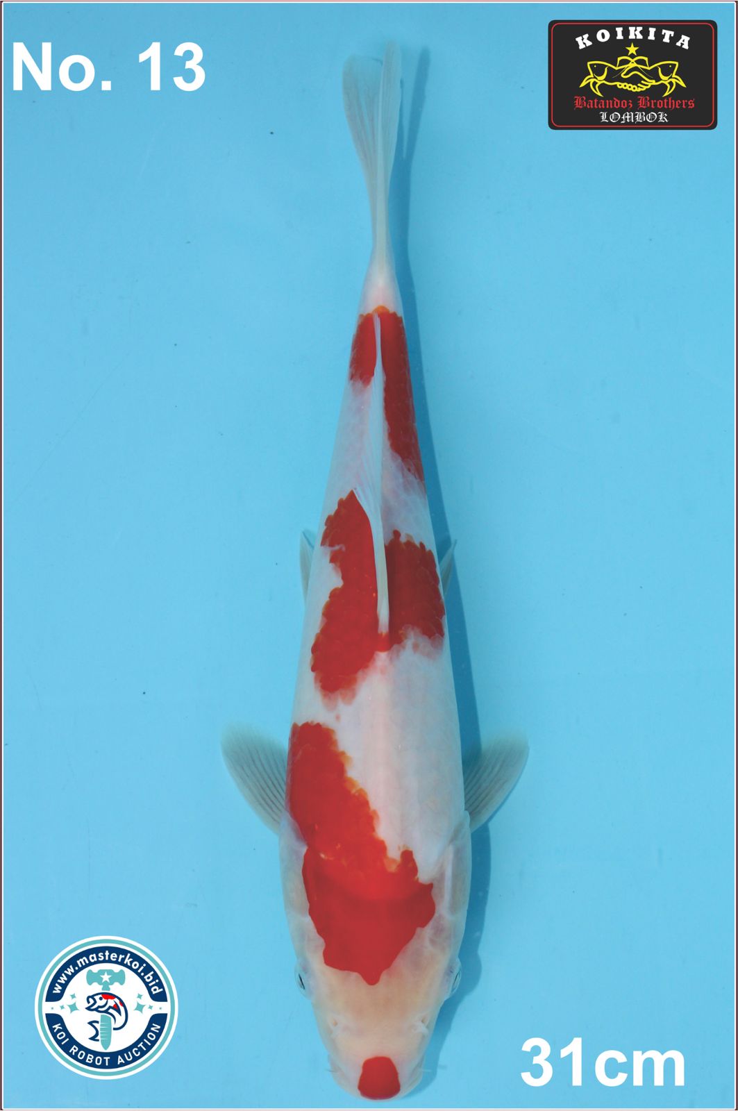 Lelang Koi Online, Jual Beli Ikan Koi, Pusat Jual Beli Koi, Info Lelang Koi Hari Ini, Platform Jual Beli Koi, Jual Beli Ikan Koi Online, Marketplace Ikan Koi, Jual Koi Terbaik, Tempat Beli Koi Berkualitas, Pasar Ikan Koi Online Terpercaya, Penjual Ikan Koi Terpercaya, Beli Koi Hias Online, Ikan Koi untuk Dijual, Koi Kualitas Terbaik, Toko Online Ikan Koi, Koi Hias Untuk Dijual, Jual Beli Ikan Koi Lokal, Koi Indonesia Online, Pusat Jual Beli Koi Terbesar