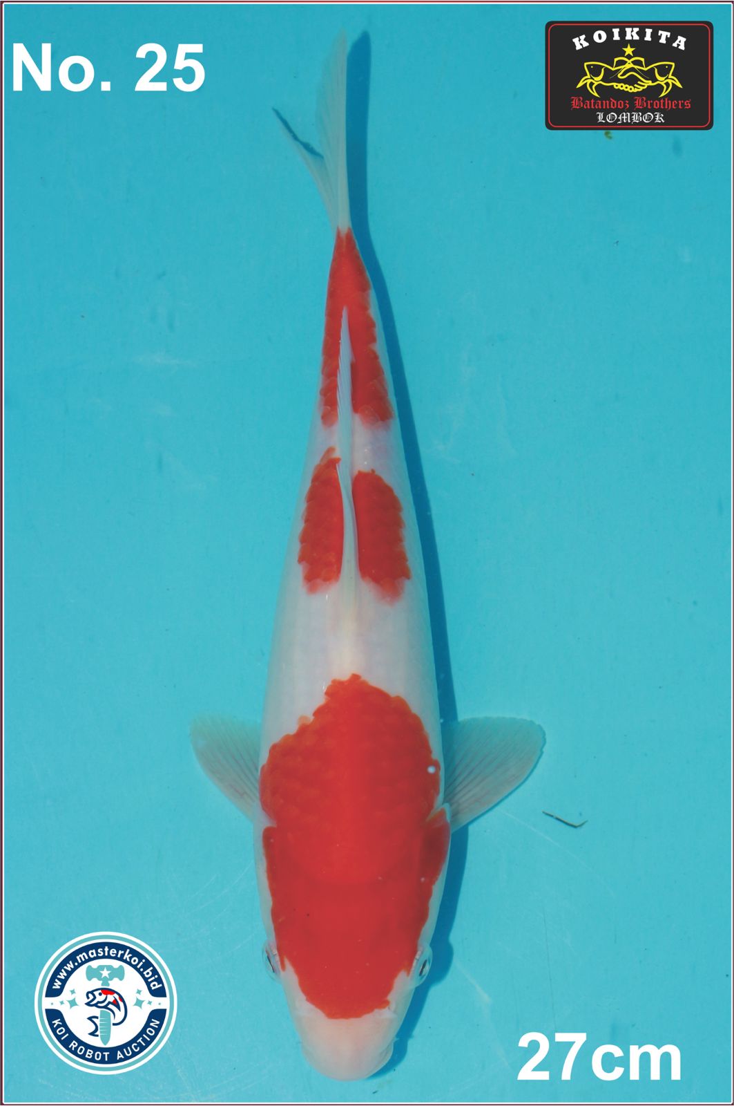 Lelang Koi Online, Jual Beli Ikan Koi, Pusat Jual Beli Koi, Info Lelang Koi Hari Ini, Platform Jual Beli Koi, Jual Beli Ikan Koi Online, Marketplace Ikan Koi, Jual Koi Terbaik, Tempat Beli Koi Berkualitas, Pasar Ikan Koi Online Terpercaya, Penjual Ikan Koi Terpercaya, Beli Koi Hias Online, Ikan Koi untuk Dijual, Koi Kualitas Terbaik, Toko Online Ikan Koi, Koi Hias Untuk Dijual, Jual Beli Ikan Koi Lokal, Koi Indonesia Online, Pusat Jual Beli Koi Terbesar