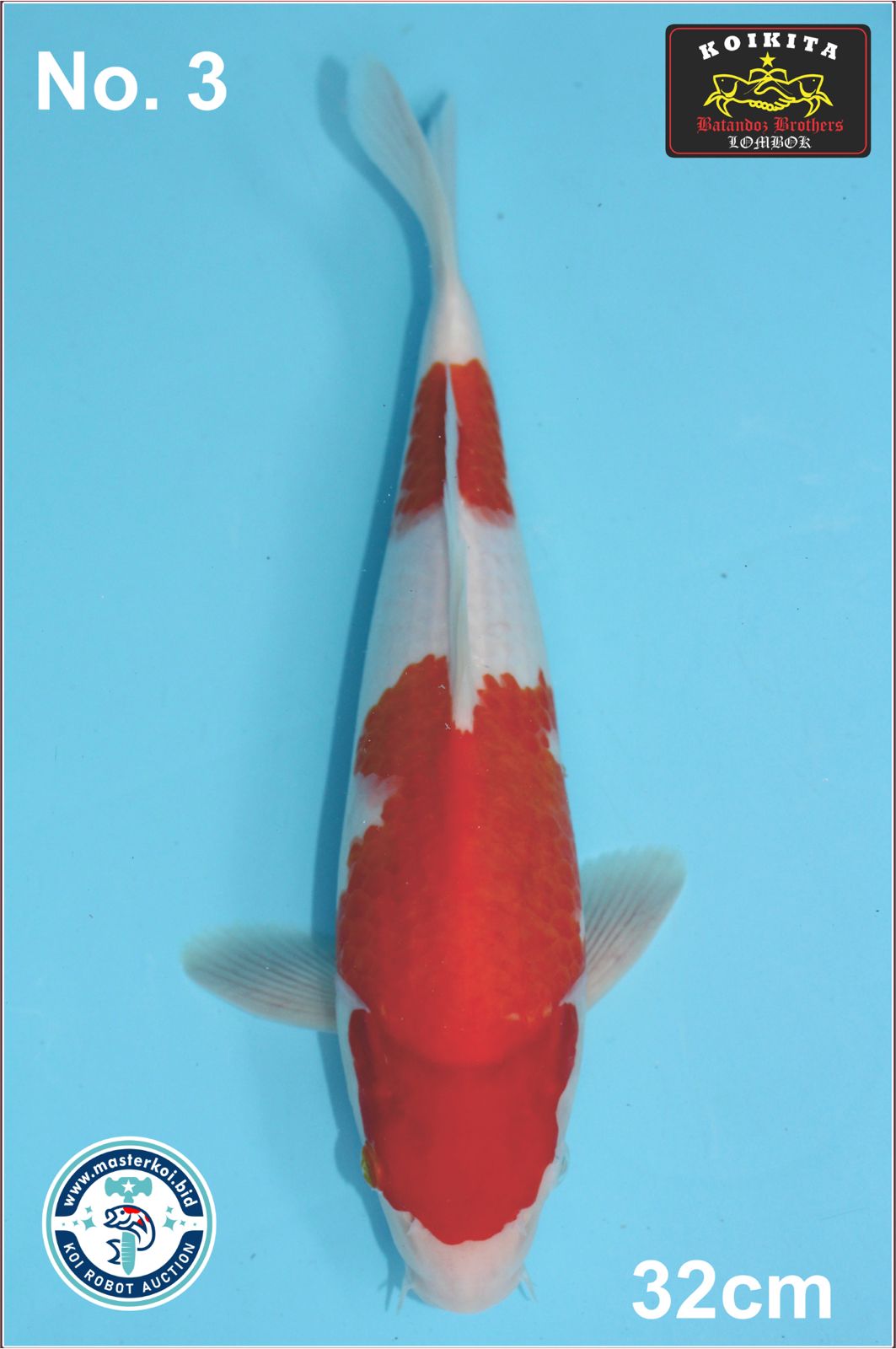 Lelang Koi Online, Jual Beli Ikan Koi, Pusat Jual Beli Koi, Info Lelang Koi Hari Ini, Platform Jual Beli Koi, Jual Beli Ikan Koi Online, Marketplace Ikan Koi, Jual Koi Terbaik, Tempat Beli Koi Berkualitas, Pasar Ikan Koi Online Terpercaya, Penjual Ikan Koi Terpercaya, Beli Koi Hias Online, Ikan Koi untuk Dijual, Koi Kualitas Terbaik, Toko Online Ikan Koi, Koi Hias Untuk Dijual, Jual Beli Ikan Koi Lokal, Koi Indonesia Online, Pusat Jual Beli Koi Terbesar