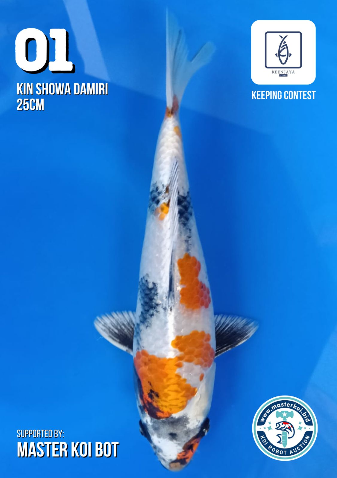 Lelang Koi Online, Jual Beli Ikan Koi, Pusat Jual Beli Koi, Info Lelang Koi Hari Ini, Platform Jual Beli Koi, Jual Beli Ikan Koi Online, Marketplace Ikan Koi, Jual Koi Terbaik, Tempat Beli Koi Berkualitas, Pasar Ikan Koi Online Terpercaya, Penjual Ikan Koi Terpercaya, Beli Koi Hias Online, Ikan Koi untuk Dijual, Koi Kualitas Terbaik, Toko Online Ikan Koi, Koi Hias Untuk Dijual, Jual Beli Ikan Koi Lokal, Koi Indonesia Online, Pusat Jual Beli Koi Terbesar