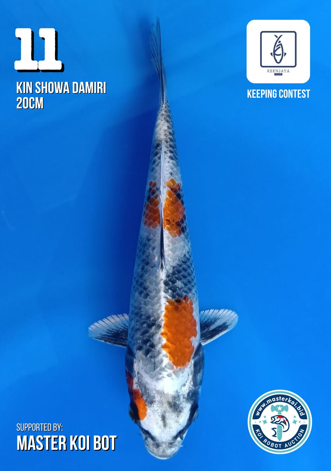 Lelang Koi Online, Jual Beli Ikan Koi, Pusat Jual Beli Koi, Info Lelang Koi Hari Ini, Platform Jual Beli Koi, Jual Beli Ikan Koi Online, Marketplace Ikan Koi, Jual Koi Terbaik, Tempat Beli Koi Berkualitas, Pasar Ikan Koi Online Terpercaya, Penjual Ikan Koi Terpercaya, Beli Koi Hias Online, Ikan Koi untuk Dijual, Koi Kualitas Terbaik, Toko Online Ikan Koi, Koi Hias Untuk Dijual, Jual Beli Ikan Koi Lokal, Koi Indonesia Online, Pusat Jual Beli Koi Terbesar