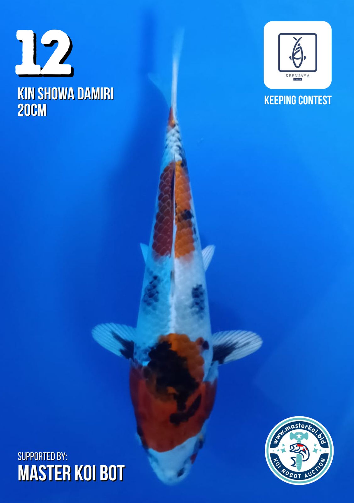 Lelang Koi Online, Jual Beli Ikan Koi, Pusat Jual Beli Koi, Info Lelang Koi Hari Ini, Platform Jual Beli Koi, Jual Beli Ikan Koi Online, Marketplace Ikan Koi, Jual Koi Terbaik, Tempat Beli Koi Berkualitas, Pasar Ikan Koi Online Terpercaya, Penjual Ikan Koi Terpercaya, Beli Koi Hias Online, Ikan Koi untuk Dijual, Koi Kualitas Terbaik, Toko Online Ikan Koi, Koi Hias Untuk Dijual, Jual Beli Ikan Koi Lokal, Koi Indonesia Online, Pusat Jual Beli Koi Terbesar