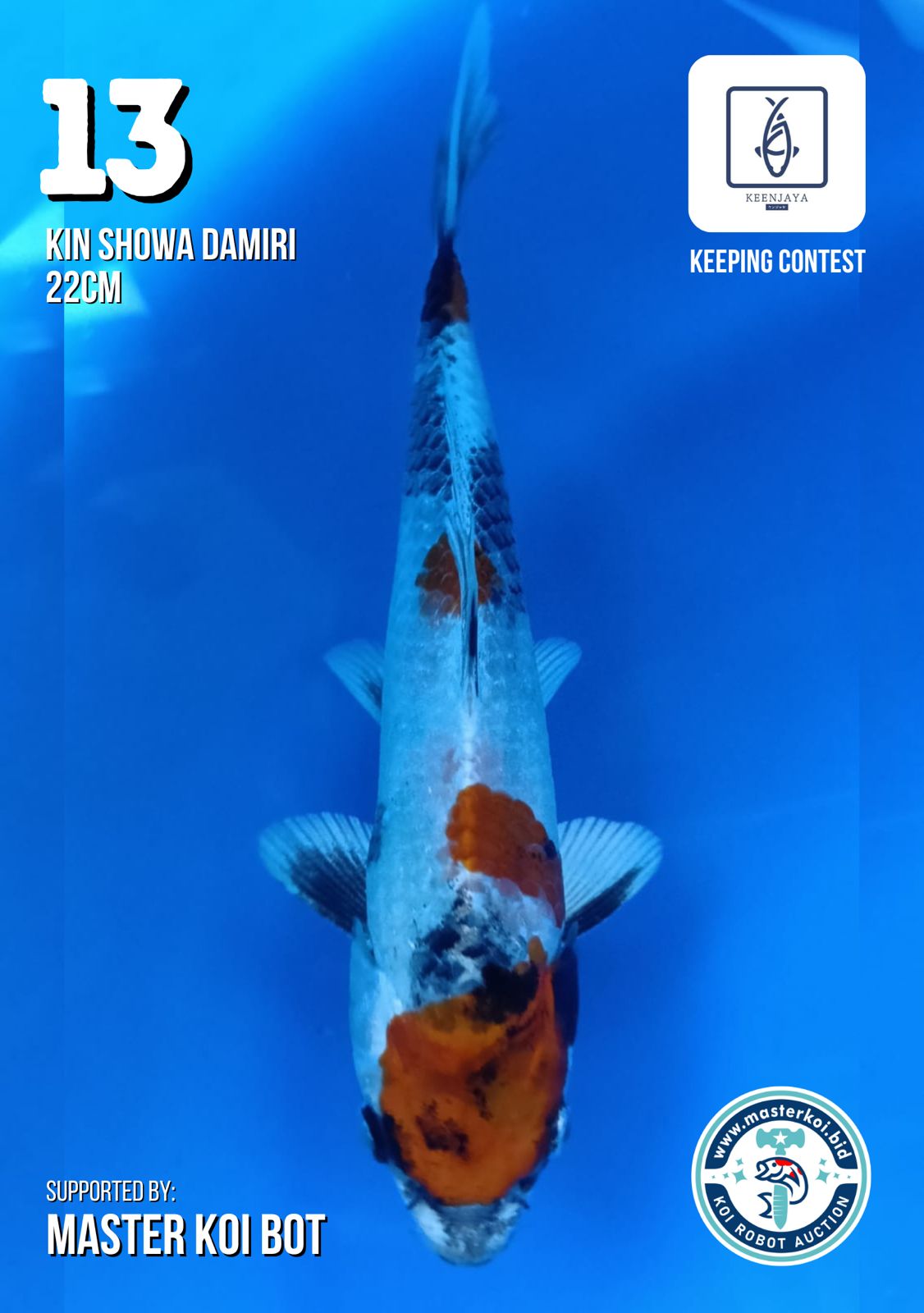 Lelang Koi Online, Jual Beli Ikan Koi, Pusat Jual Beli Koi, Info Lelang Koi Hari Ini, Platform Jual Beli Koi, Jual Beli Ikan Koi Online, Marketplace Ikan Koi, Jual Koi Terbaik, Tempat Beli Koi Berkualitas, Pasar Ikan Koi Online Terpercaya, Penjual Ikan Koi Terpercaya, Beli Koi Hias Online, Ikan Koi untuk Dijual, Koi Kualitas Terbaik, Toko Online Ikan Koi, Koi Hias Untuk Dijual, Jual Beli Ikan Koi Lokal, Koi Indonesia Online, Pusat Jual Beli Koi Terbesar