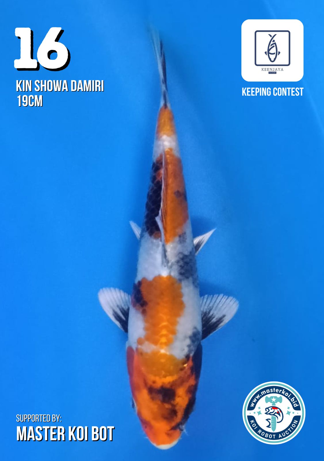 Lelang Koi Online, Jual Beli Ikan Koi, Pusat Jual Beli Koi, Info Lelang Koi Hari Ini, Platform Jual Beli Koi, Jual Beli Ikan Koi Online, Marketplace Ikan Koi, Jual Koi Terbaik, Tempat Beli Koi Berkualitas, Pasar Ikan Koi Online Terpercaya, Penjual Ikan Koi Terpercaya, Beli Koi Hias Online, Ikan Koi untuk Dijual, Koi Kualitas Terbaik, Toko Online Ikan Koi, Koi Hias Untuk Dijual, Jual Beli Ikan Koi Lokal, Koi Indonesia Online, Pusat Jual Beli Koi Terbesar