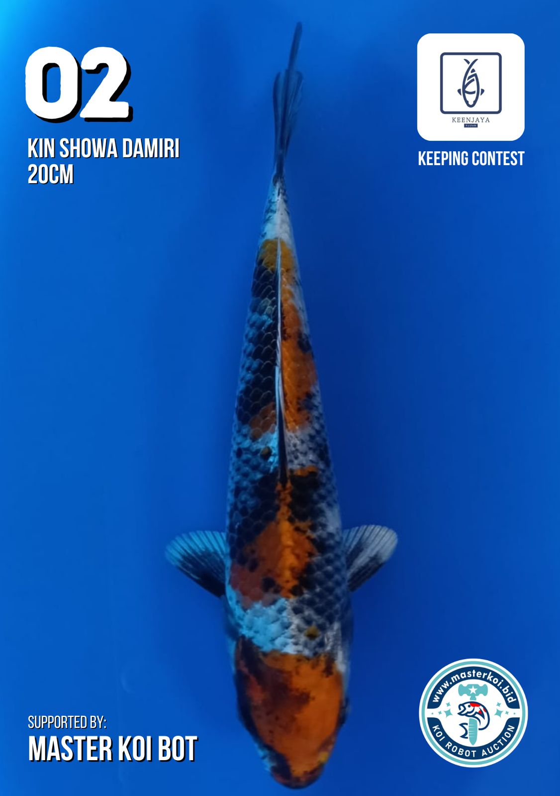 Lelang Koi Online, Jual Beli Ikan Koi, Pusat Jual Beli Koi, Info Lelang Koi Hari Ini, Platform Jual Beli Koi, Jual Beli Ikan Koi Online, Marketplace Ikan Koi, Jual Koi Terbaik, Tempat Beli Koi Berkualitas, Pasar Ikan Koi Online Terpercaya, Penjual Ikan Koi Terpercaya, Beli Koi Hias Online, Ikan Koi untuk Dijual, Koi Kualitas Terbaik, Toko Online Ikan Koi, Koi Hias Untuk Dijual, Jual Beli Ikan Koi Lokal, Koi Indonesia Online, Pusat Jual Beli Koi Terbesar