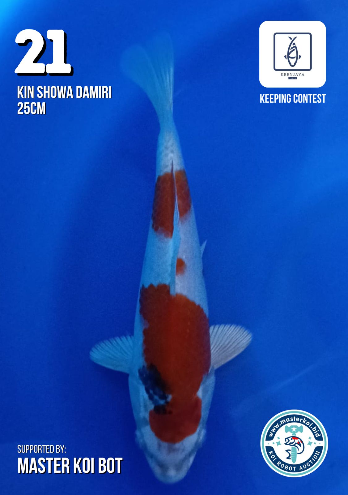 Lelang Koi Online, Jual Beli Ikan Koi, Pusat Jual Beli Koi, Info Lelang Koi Hari Ini, Platform Jual Beli Koi, Jual Beli Ikan Koi Online, Marketplace Ikan Koi, Jual Koi Terbaik, Tempat Beli Koi Berkualitas, Pasar Ikan Koi Online Terpercaya, Penjual Ikan Koi Terpercaya, Beli Koi Hias Online, Ikan Koi untuk Dijual, Koi Kualitas Terbaik, Toko Online Ikan Koi, Koi Hias Untuk Dijual, Jual Beli Ikan Koi Lokal, Koi Indonesia Online, Pusat Jual Beli Koi Terbesar