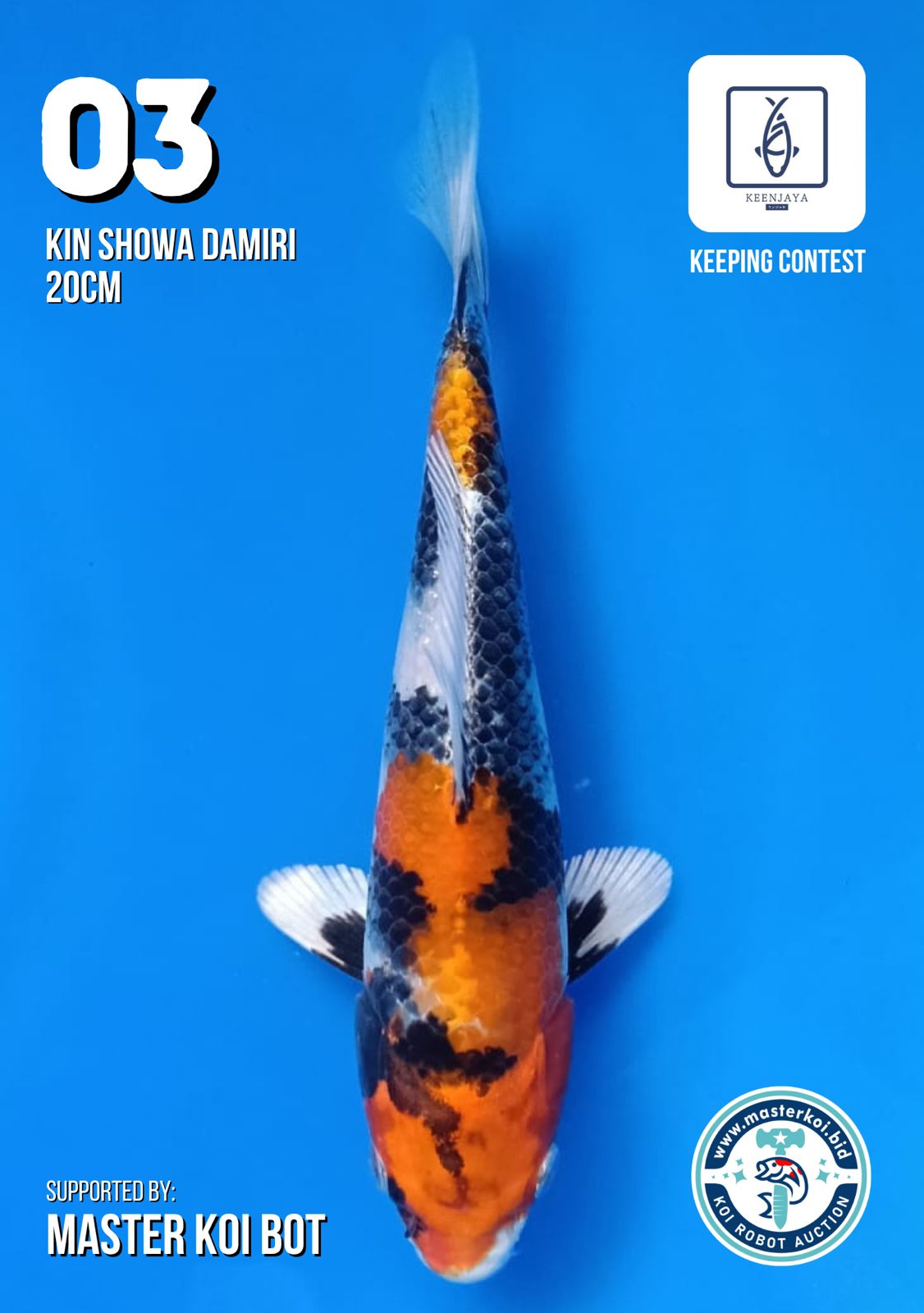 Lelang Koi Online, Jual Beli Ikan Koi, Pusat Jual Beli Koi, Info Lelang Koi Hari Ini, Platform Jual Beli Koi, Jual Beli Ikan Koi Online, Marketplace Ikan Koi, Jual Koi Terbaik, Tempat Beli Koi Berkualitas, Pasar Ikan Koi Online Terpercaya, Penjual Ikan Koi Terpercaya, Beli Koi Hias Online, Ikan Koi untuk Dijual, Koi Kualitas Terbaik, Toko Online Ikan Koi, Koi Hias Untuk Dijual, Jual Beli Ikan Koi Lokal, Koi Indonesia Online, Pusat Jual Beli Koi Terbesar