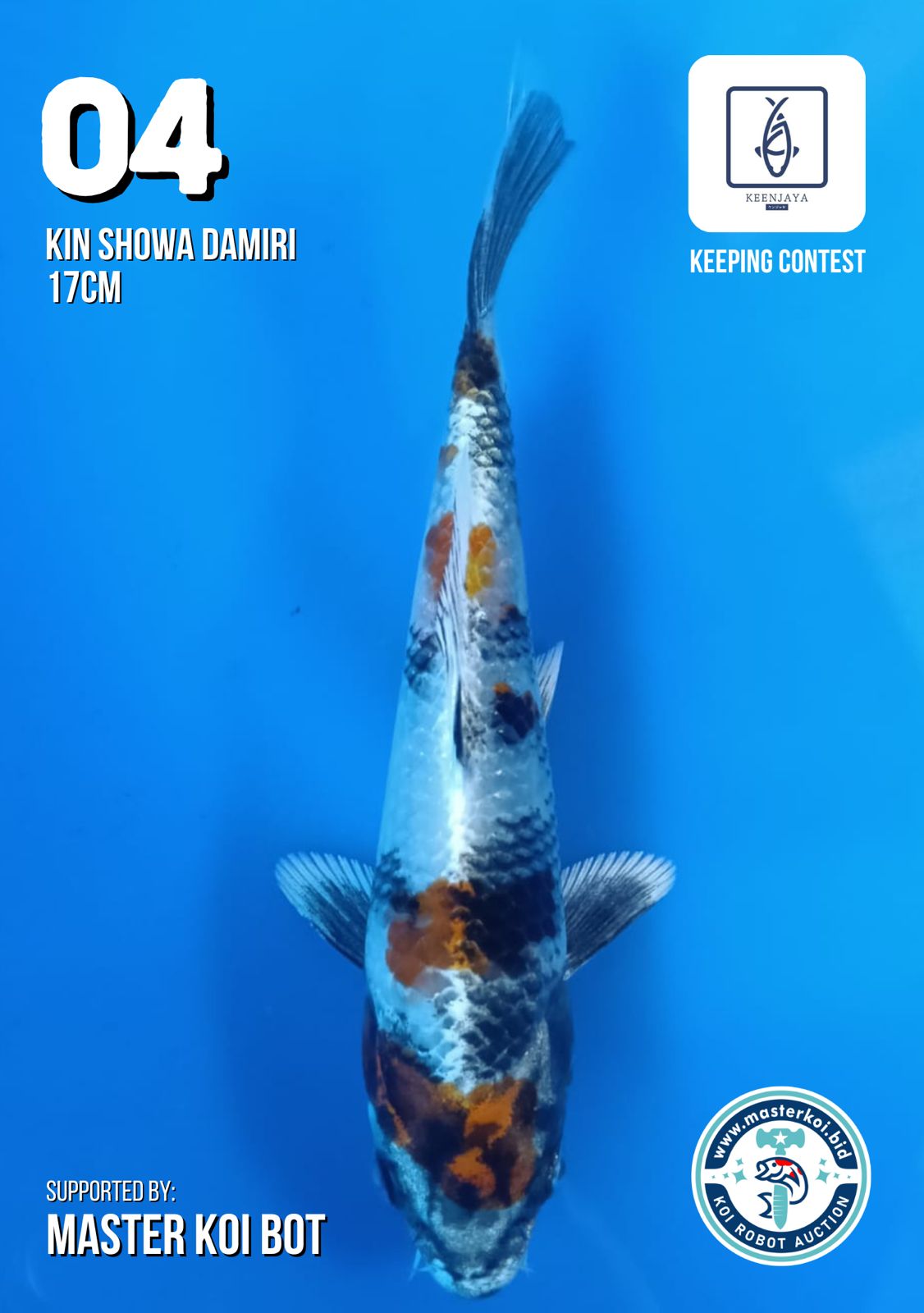 Lelang Koi Online, Jual Beli Ikan Koi, Pusat Jual Beli Koi, Info Lelang Koi Hari Ini, Platform Jual Beli Koi, Jual Beli Ikan Koi Online, Marketplace Ikan Koi, Jual Koi Terbaik, Tempat Beli Koi Berkualitas, Pasar Ikan Koi Online Terpercaya, Penjual Ikan Koi Terpercaya, Beli Koi Hias Online, Ikan Koi untuk Dijual, Koi Kualitas Terbaik, Toko Online Ikan Koi, Koi Hias Untuk Dijual, Jual Beli Ikan Koi Lokal, Koi Indonesia Online, Pusat Jual Beli Koi Terbesar
