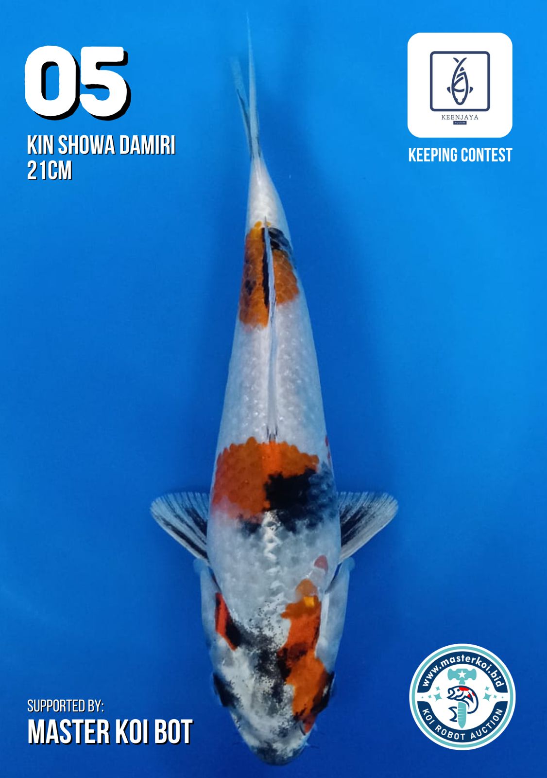 Lelang Koi Online, Jual Beli Ikan Koi, Pusat Jual Beli Koi, Info Lelang Koi Hari Ini, Platform Jual Beli Koi, Jual Beli Ikan Koi Online, Marketplace Ikan Koi, Jual Koi Terbaik, Tempat Beli Koi Berkualitas, Pasar Ikan Koi Online Terpercaya, Penjual Ikan Koi Terpercaya, Beli Koi Hias Online, Ikan Koi untuk Dijual, Koi Kualitas Terbaik, Toko Online Ikan Koi, Koi Hias Untuk Dijual, Jual Beli Ikan Koi Lokal, Koi Indonesia Online, Pusat Jual Beli Koi Terbesar