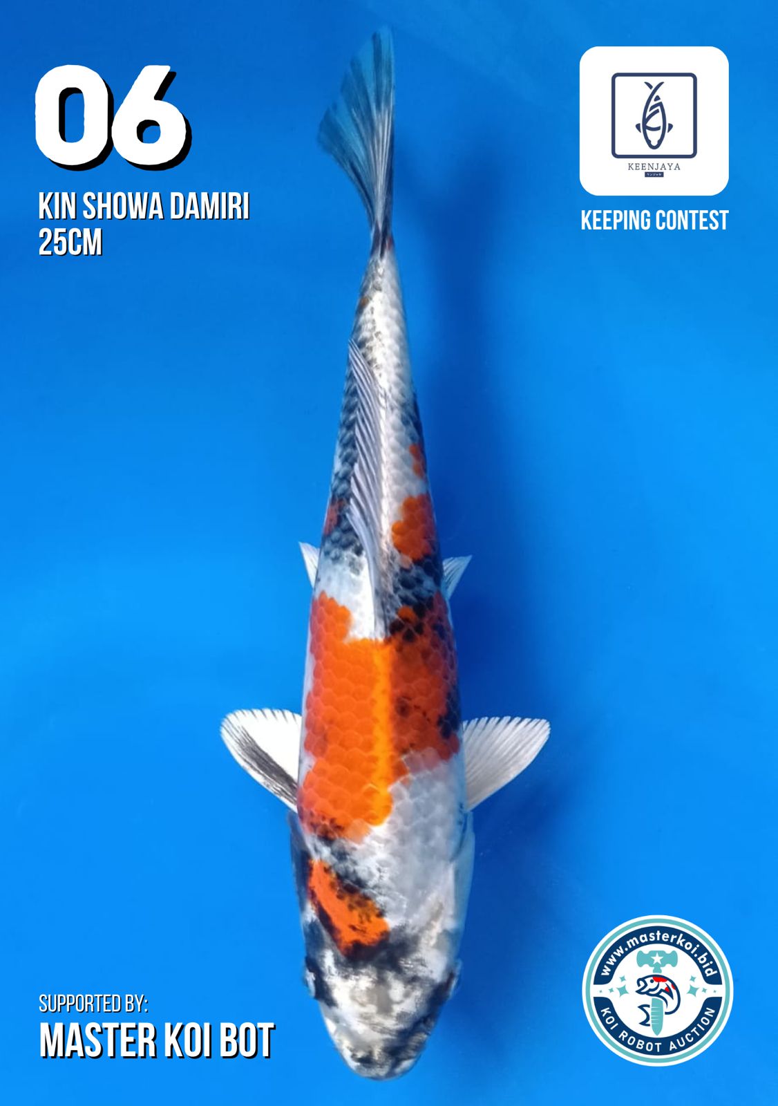 Lelang Koi Online, Jual Beli Ikan Koi, Pusat Jual Beli Koi, Info Lelang Koi Hari Ini, Platform Jual Beli Koi, Jual Beli Ikan Koi Online, Marketplace Ikan Koi, Jual Koi Terbaik, Tempat Beli Koi Berkualitas, Pasar Ikan Koi Online Terpercaya, Penjual Ikan Koi Terpercaya, Beli Koi Hias Online, Ikan Koi untuk Dijual, Koi Kualitas Terbaik, Toko Online Ikan Koi, Koi Hias Untuk Dijual, Jual Beli Ikan Koi Lokal, Koi Indonesia Online, Pusat Jual Beli Koi Terbesar