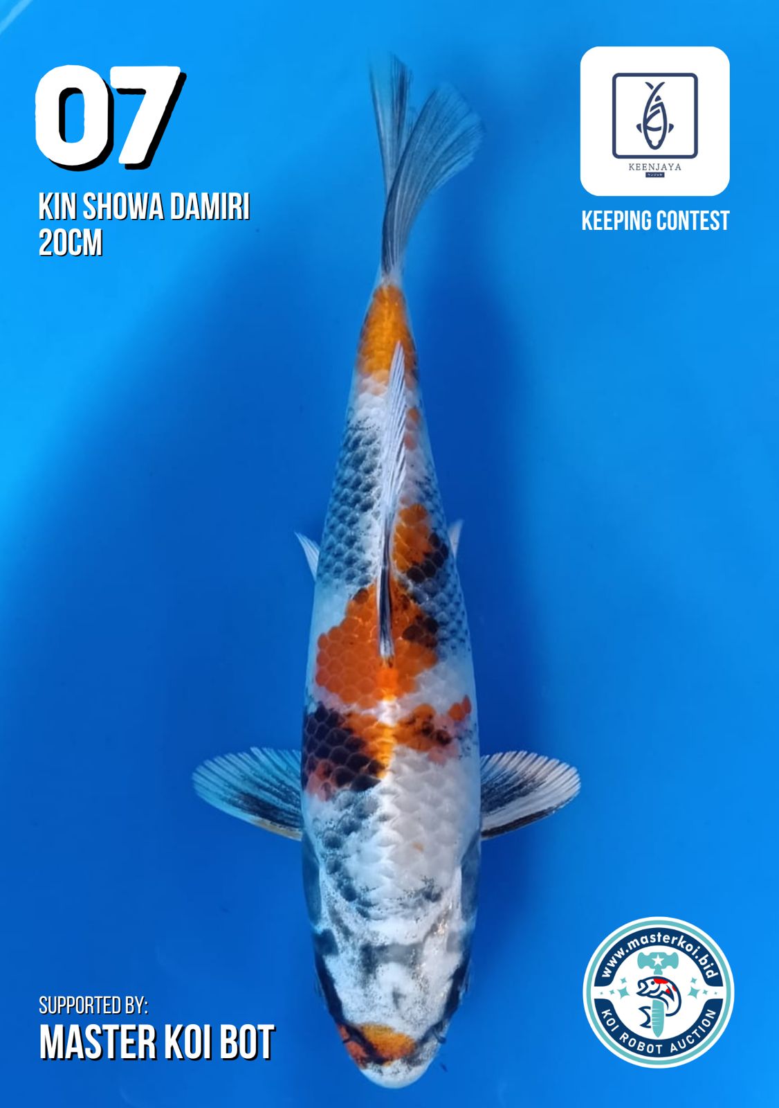 Lelang Koi Online, Jual Beli Ikan Koi, Pusat Jual Beli Koi, Info Lelang Koi Hari Ini, Platform Jual Beli Koi, Jual Beli Ikan Koi Online, Marketplace Ikan Koi, Jual Koi Terbaik, Tempat Beli Koi Berkualitas, Pasar Ikan Koi Online Terpercaya, Penjual Ikan Koi Terpercaya, Beli Koi Hias Online, Ikan Koi untuk Dijual, Koi Kualitas Terbaik, Toko Online Ikan Koi, Koi Hias Untuk Dijual, Jual Beli Ikan Koi Lokal, Koi Indonesia Online, Pusat Jual Beli Koi Terbesar