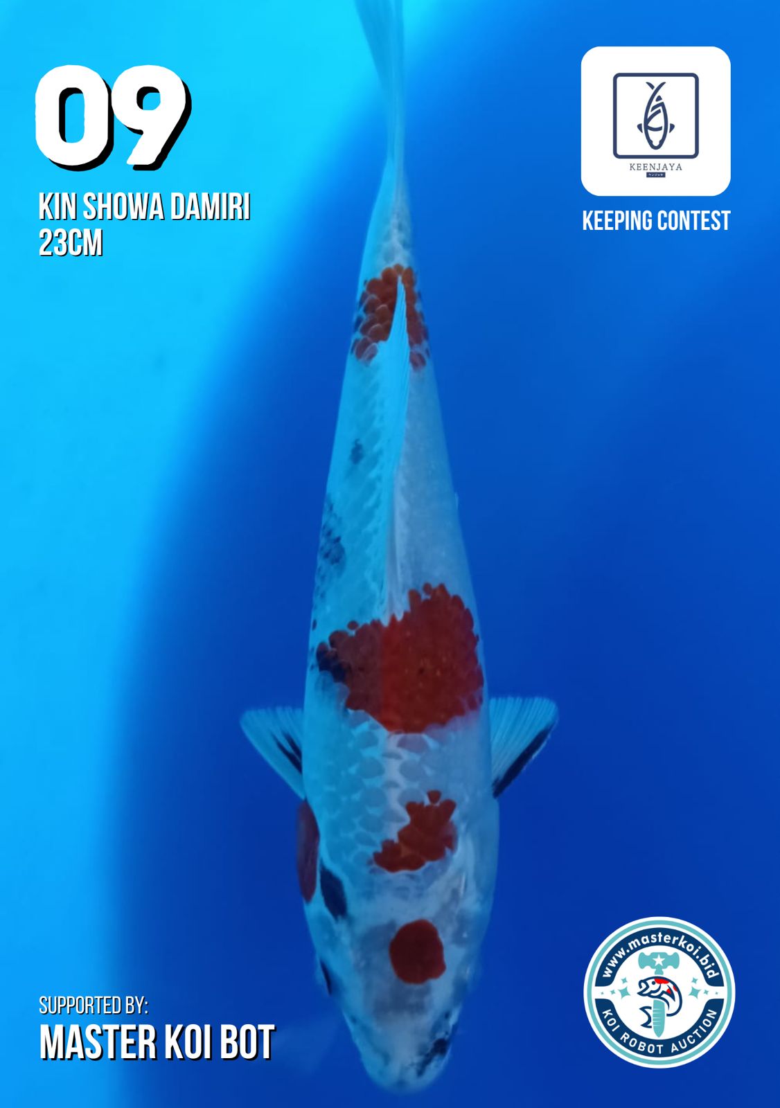 Lelang Koi Online, Jual Beli Ikan Koi, Pusat Jual Beli Koi, Info Lelang Koi Hari Ini, Platform Jual Beli Koi, Jual Beli Ikan Koi Online, Marketplace Ikan Koi, Jual Koi Terbaik, Tempat Beli Koi Berkualitas, Pasar Ikan Koi Online Terpercaya, Penjual Ikan Koi Terpercaya, Beli Koi Hias Online, Ikan Koi untuk Dijual, Koi Kualitas Terbaik, Toko Online Ikan Koi, Koi Hias Untuk Dijual, Jual Beli Ikan Koi Lokal, Koi Indonesia Online, Pusat Jual Beli Koi Terbesar