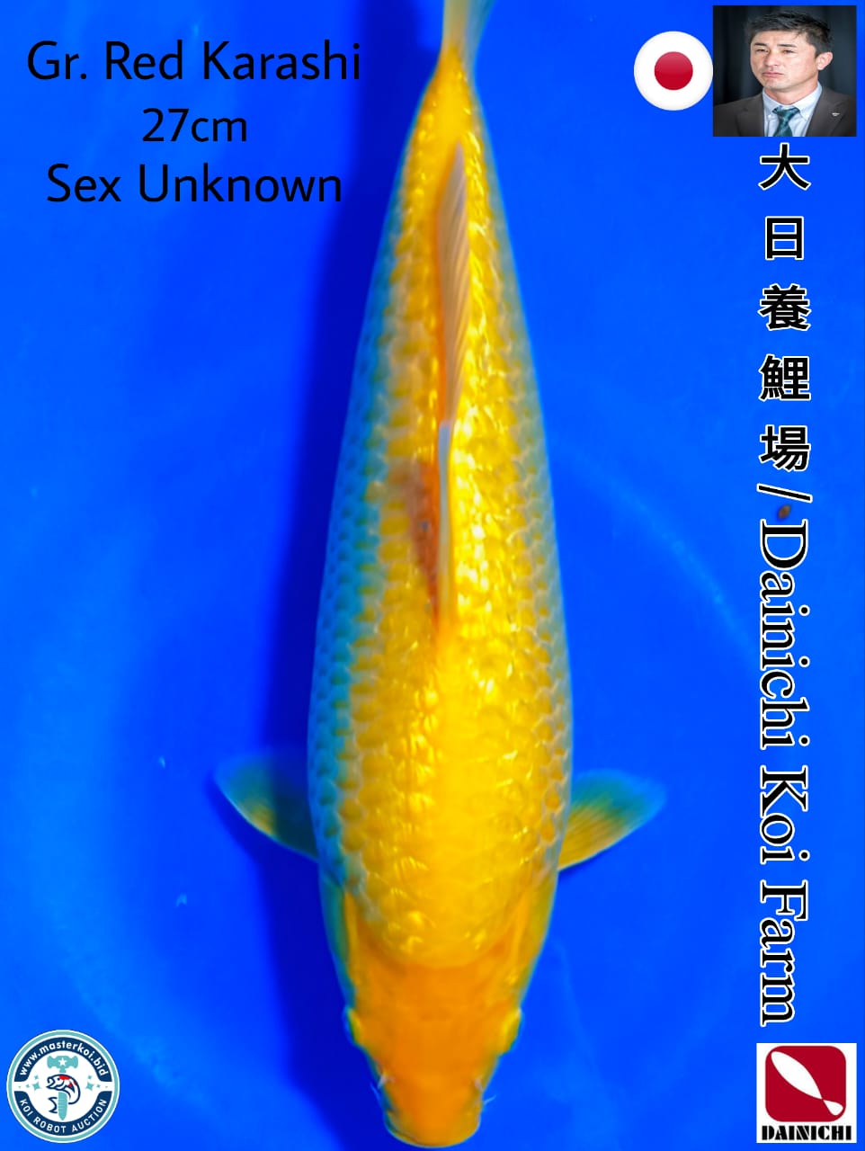Lelang Koi Online, Jual Beli Ikan Koi, Pusat Jual Beli Koi, Info Lelang Koi Hari Ini, Platform Jual Beli Koi, Jual Beli Ikan Koi Online, Marketplace Ikan Koi, Jual Koi Terbaik, Tempat Beli Koi Berkualitas, Pasar Ikan Koi Online Terpercaya, Penjual Ikan Koi Terpercaya, Beli Koi Hias Online, Ikan Koi untuk Dijual, Koi Kualitas Terbaik, Toko Online Ikan Koi, Koi Hias Untuk Dijual, Jual Beli Ikan Koi Lokal, Koi Indonesia Online, Pusat Jual Beli Koi Terbesar