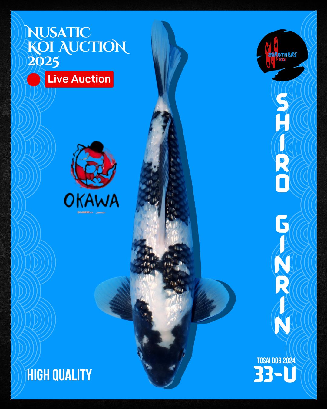 Lelang Koi Online, Jual Beli Ikan Koi, Pusat Jual Beli Koi, Info Lelang Koi Hari Ini, Platform Jual Beli Koi, Jual Beli Ikan Koi Online, Marketplace Ikan Koi, Jual Koi Terbaik, Tempat Beli Koi Berkualitas, Pasar Ikan Koi Online Terpercaya, Penjual Ikan Koi Terpercaya, Beli Koi Hias Online, Ikan Koi untuk Dijual, Koi Kualitas Terbaik, Toko Online Ikan Koi, Koi Hias Untuk Dijual, Jual Beli Ikan Koi Lokal, Koi Indonesia Online, Pusat Jual Beli Koi Terbesar