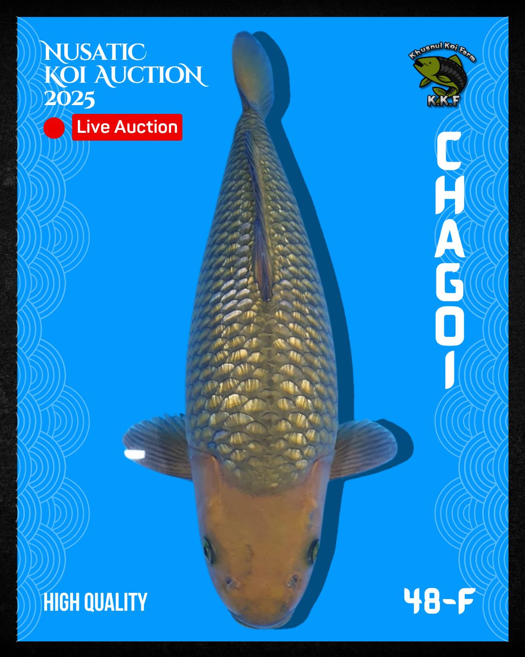 Lelang Koi Online, Jual Beli Ikan Koi, Pusat Jual Beli Koi, Info Lelang Koi Hari Ini, Platform Jual Beli Koi, Jual Beli Ikan Koi Online, Marketplace Ikan Koi, Jual Koi Terbaik, Tempat Beli Koi Berkualitas, Pasar Ikan Koi Online Terpercaya, Penjual Ikan Koi Terpercaya, Beli Koi Hias Online, Ikan Koi untuk Dijual, Koi Kualitas Terbaik, Toko Online Ikan Koi, Koi Hias Untuk Dijual, Jual Beli Ikan Koi Lokal, Koi Indonesia Online, Pusat Jual Beli Koi Terbesar