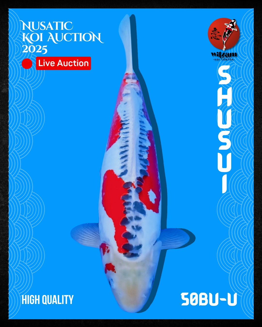 Lelang Koi Online, Jual Beli Ikan Koi, Pusat Jual Beli Koi, Info Lelang Koi Hari Ini, Platform Jual Beli Koi, Jual Beli Ikan Koi Online, Marketplace Ikan Koi, Jual Koi Terbaik, Tempat Beli Koi Berkualitas, Pasar Ikan Koi Online Terpercaya, Penjual Ikan Koi Terpercaya, Beli Koi Hias Online, Ikan Koi untuk Dijual, Koi Kualitas Terbaik, Toko Online Ikan Koi, Koi Hias Untuk Dijual, Jual Beli Ikan Koi Lokal, Koi Indonesia Online, Pusat Jual Beli Koi Terbesar