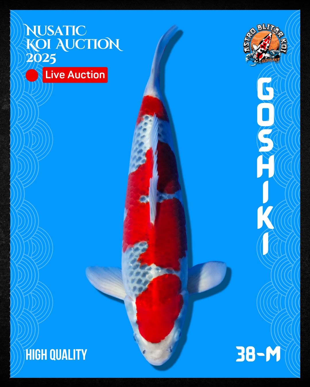 Lelang Koi Online, Jual Beli Ikan Koi, Pusat Jual Beli Koi, Info Lelang Koi Hari Ini, Platform Jual Beli Koi, Jual Beli Ikan Koi Online, Marketplace Ikan Koi, Jual Koi Terbaik, Tempat Beli Koi Berkualitas, Pasar Ikan Koi Online Terpercaya, Penjual Ikan Koi Terpercaya, Beli Koi Hias Online, Ikan Koi untuk Dijual, Koi Kualitas Terbaik, Toko Online Ikan Koi, Koi Hias Untuk Dijual, Jual Beli Ikan Koi Lokal, Koi Indonesia Online, Pusat Jual Beli Koi Terbesar