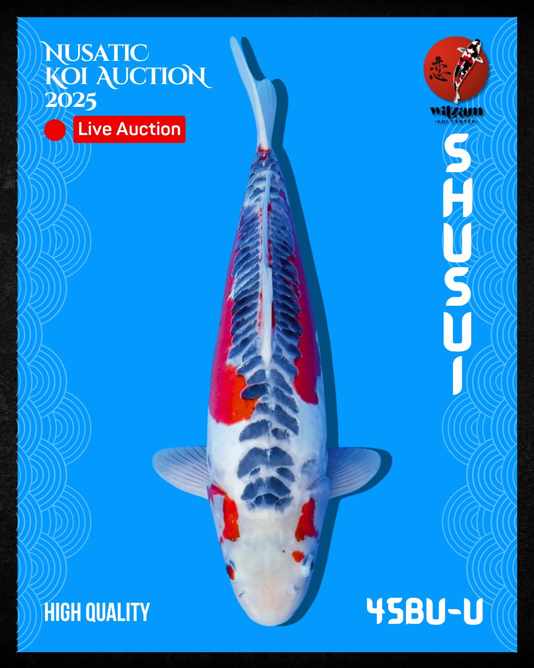 Lelang Koi Online, Jual Beli Ikan Koi, Pusat Jual Beli Koi, Info Lelang Koi Hari Ini, Platform Jual Beli Koi, Jual Beli Ikan Koi Online, Marketplace Ikan Koi, Jual Koi Terbaik, Tempat Beli Koi Berkualitas, Pasar Ikan Koi Online Terpercaya, Penjual Ikan Koi Terpercaya, Beli Koi Hias Online, Ikan Koi untuk Dijual, Koi Kualitas Terbaik, Toko Online Ikan Koi, Koi Hias Untuk Dijual, Jual Beli Ikan Koi Lokal, Koi Indonesia Online, Pusat Jual Beli Koi Terbesar