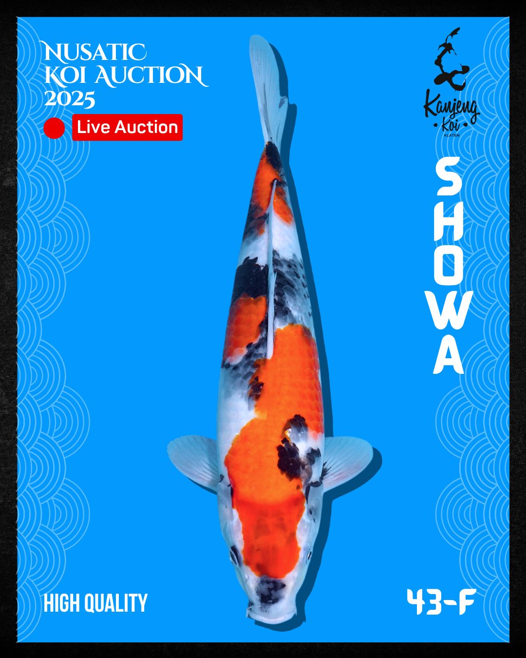 Lelang Koi Online, Jual Beli Ikan Koi, Pusat Jual Beli Koi, Info Lelang Koi Hari Ini, Platform Jual Beli Koi, Jual Beli Ikan Koi Online, Marketplace Ikan Koi, Jual Koi Terbaik, Tempat Beli Koi Berkualitas, Pasar Ikan Koi Online Terpercaya, Penjual Ikan Koi Terpercaya, Beli Koi Hias Online, Ikan Koi untuk Dijual, Koi Kualitas Terbaik, Toko Online Ikan Koi, Koi Hias Untuk Dijual, Jual Beli Ikan Koi Lokal, Koi Indonesia Online, Pusat Jual Beli Koi Terbesar