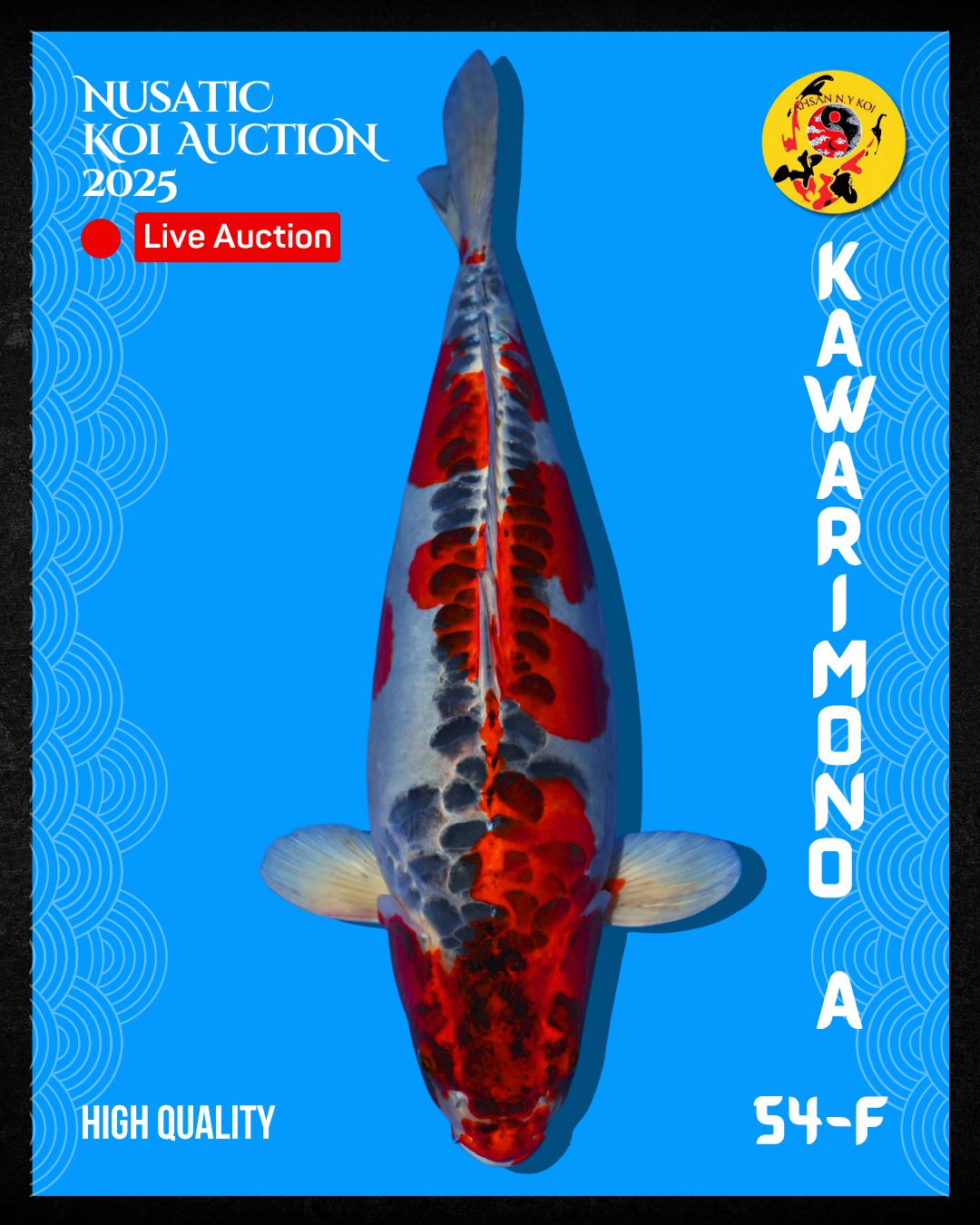 Lelang Koi Online, Jual Beli Ikan Koi, Pusat Jual Beli Koi, Info Lelang Koi Hari Ini, Platform Jual Beli Koi, Jual Beli Ikan Koi Online, Marketplace Ikan Koi, Jual Koi Terbaik, Tempat Beli Koi Berkualitas, Pasar Ikan Koi Online Terpercaya, Penjual Ikan Koi Terpercaya, Beli Koi Hias Online, Ikan Koi untuk Dijual, Koi Kualitas Terbaik, Toko Online Ikan Koi, Koi Hias Untuk Dijual, Jual Beli Ikan Koi Lokal, Koi Indonesia Online, Pusat Jual Beli Koi Terbesar
