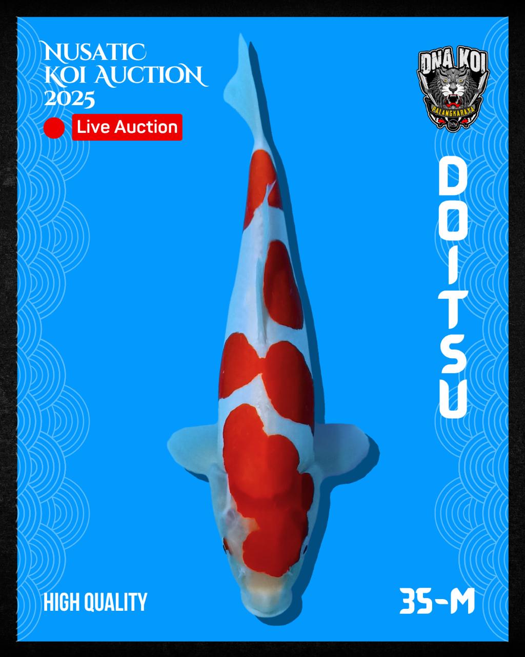 Lelang Koi Online, Jual Beli Ikan Koi, Pusat Jual Beli Koi, Info Lelang Koi Hari Ini, Platform Jual Beli Koi, Jual Beli Ikan Koi Online, Marketplace Ikan Koi, Jual Koi Terbaik, Tempat Beli Koi Berkualitas, Pasar Ikan Koi Online Terpercaya, Penjual Ikan Koi Terpercaya, Beli Koi Hias Online, Ikan Koi untuk Dijual, Koi Kualitas Terbaik, Toko Online Ikan Koi, Koi Hias Untuk Dijual, Jual Beli Ikan Koi Lokal, Koi Indonesia Online, Pusat Jual Beli Koi Terbesar