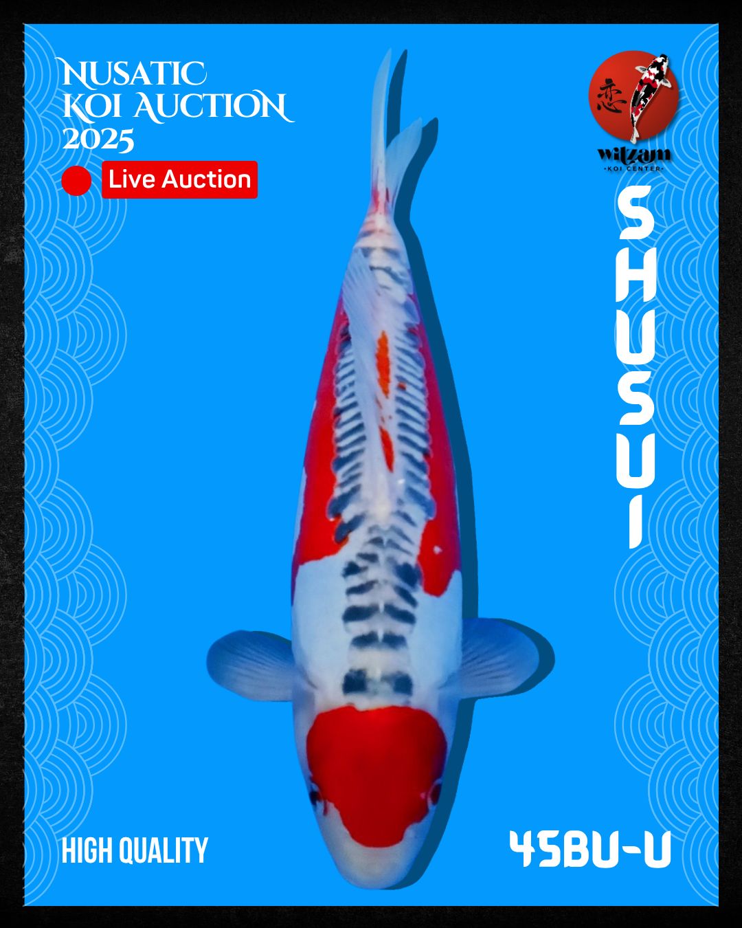 Lelang Koi Online, Jual Beli Ikan Koi, Pusat Jual Beli Koi, Info Lelang Koi Hari Ini, Platform Jual Beli Koi, Jual Beli Ikan Koi Online, Marketplace Ikan Koi, Jual Koi Terbaik, Tempat Beli Koi Berkualitas, Pasar Ikan Koi Online Terpercaya, Penjual Ikan Koi Terpercaya, Beli Koi Hias Online, Ikan Koi untuk Dijual, Koi Kualitas Terbaik, Toko Online Ikan Koi, Koi Hias Untuk Dijual, Jual Beli Ikan Koi Lokal, Koi Indonesia Online, Pusat Jual Beli Koi Terbesar