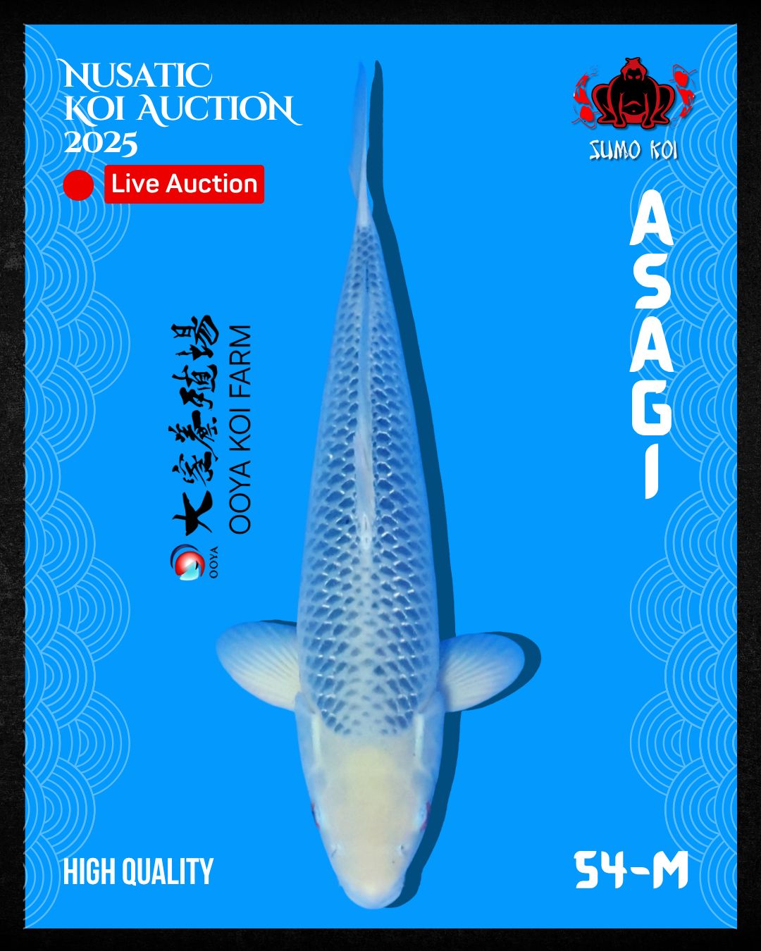 Lelang Koi Online, Jual Beli Ikan Koi, Pusat Jual Beli Koi, Info Lelang Koi Hari Ini, Platform Jual Beli Koi, Jual Beli Ikan Koi Online, Marketplace Ikan Koi, Jual Koi Terbaik, Tempat Beli Koi Berkualitas, Pasar Ikan Koi Online Terpercaya, Penjual Ikan Koi Terpercaya, Beli Koi Hias Online, Ikan Koi untuk Dijual, Koi Kualitas Terbaik, Toko Online Ikan Koi, Koi Hias Untuk Dijual, Jual Beli Ikan Koi Lokal, Koi Indonesia Online, Pusat Jual Beli Koi Terbesar
