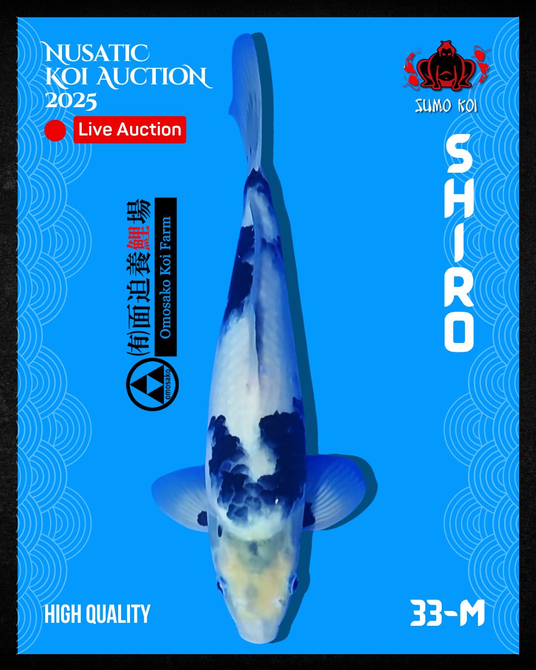 Lelang Koi Online, Jual Beli Ikan Koi, Pusat Jual Beli Koi, Info Lelang Koi Hari Ini, Platform Jual Beli Koi, Jual Beli Ikan Koi Online, Marketplace Ikan Koi, Jual Koi Terbaik, Tempat Beli Koi Berkualitas, Pasar Ikan Koi Online Terpercaya, Penjual Ikan Koi Terpercaya, Beli Koi Hias Online, Ikan Koi untuk Dijual, Koi Kualitas Terbaik, Toko Online Ikan Koi, Koi Hias Untuk Dijual, Jual Beli Ikan Koi Lokal, Koi Indonesia Online, Pusat Jual Beli Koi Terbesar