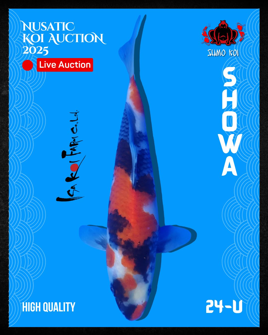 Lelang Koi Online, Jual Beli Ikan Koi, Pusat Jual Beli Koi, Info Lelang Koi Hari Ini, Platform Jual Beli Koi, Jual Beli Ikan Koi Online, Marketplace Ikan Koi, Jual Koi Terbaik, Tempat Beli Koi Berkualitas, Pasar Ikan Koi Online Terpercaya, Penjual Ikan Koi Terpercaya, Beli Koi Hias Online, Ikan Koi untuk Dijual, Koi Kualitas Terbaik, Toko Online Ikan Koi, Koi Hias Untuk Dijual, Jual Beli Ikan Koi Lokal, Koi Indonesia Online, Pusat Jual Beli Koi Terbesar