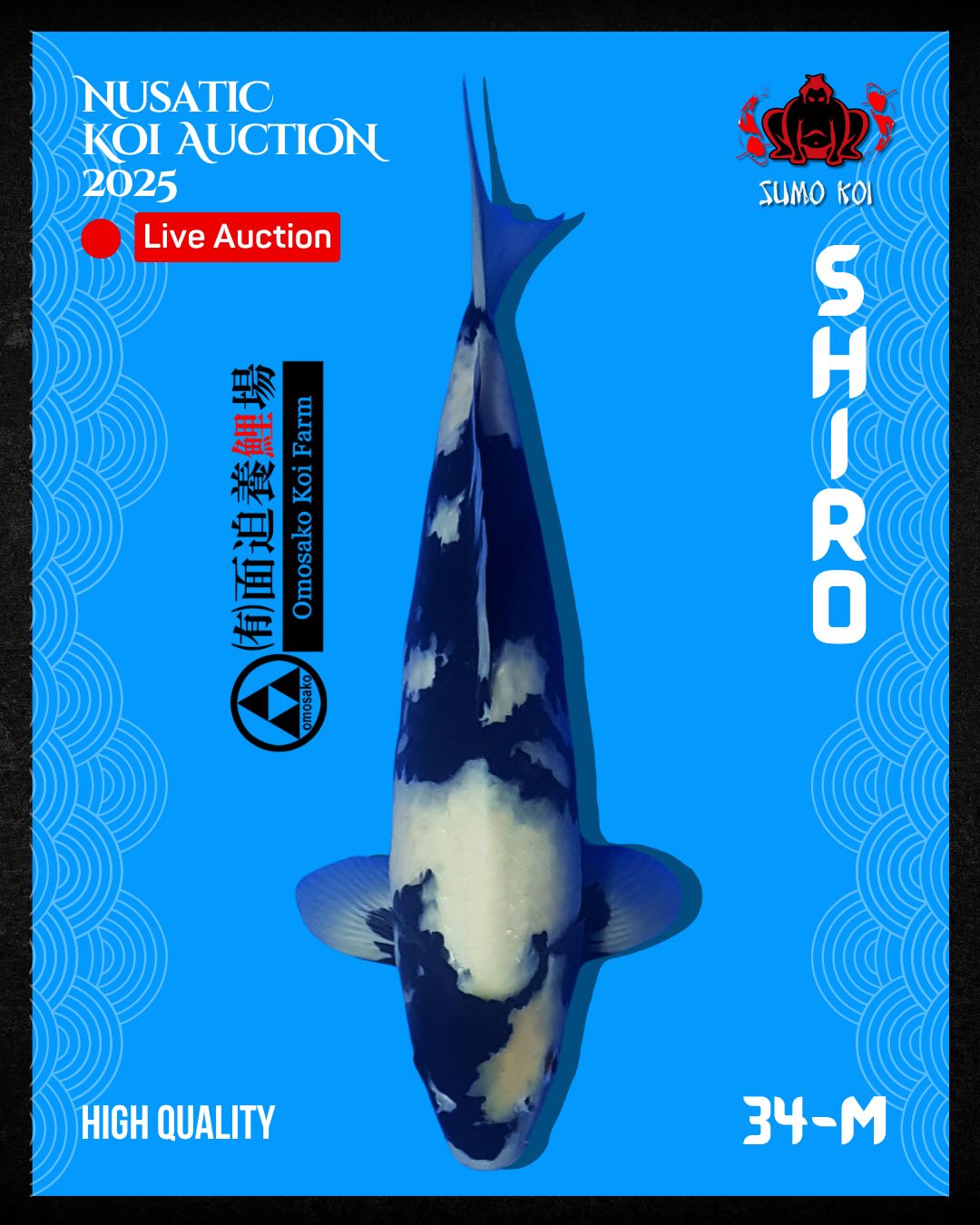 Lelang Koi Online, Jual Beli Ikan Koi, Pusat Jual Beli Koi, Info Lelang Koi Hari Ini, Platform Jual Beli Koi, Jual Beli Ikan Koi Online, Marketplace Ikan Koi, Jual Koi Terbaik, Tempat Beli Koi Berkualitas, Pasar Ikan Koi Online Terpercaya, Penjual Ikan Koi Terpercaya, Beli Koi Hias Online, Ikan Koi untuk Dijual, Koi Kualitas Terbaik, Toko Online Ikan Koi, Koi Hias Untuk Dijual, Jual Beli Ikan Koi Lokal, Koi Indonesia Online, Pusat Jual Beli Koi Terbesar