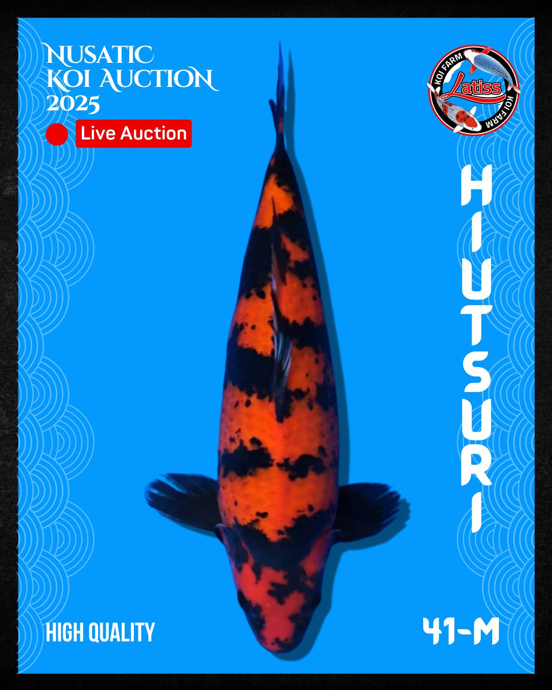 Lelang Koi Online, Jual Beli Ikan Koi, Pusat Jual Beli Koi, Info Lelang Koi Hari Ini, Platform Jual Beli Koi, Jual Beli Ikan Koi Online, Marketplace Ikan Koi, Jual Koi Terbaik, Tempat Beli Koi Berkualitas, Pasar Ikan Koi Online Terpercaya, Penjual Ikan Koi Terpercaya, Beli Koi Hias Online, Ikan Koi untuk Dijual, Koi Kualitas Terbaik, Toko Online Ikan Koi, Koi Hias Untuk Dijual, Jual Beli Ikan Koi Lokal, Koi Indonesia Online, Pusat Jual Beli Koi Terbesar